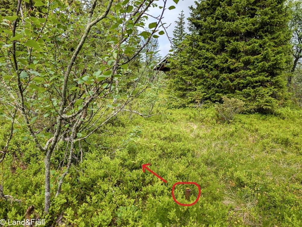 Tomt på Vålvägen 6 Ljungdalen - Skärkdalen Bergs kommun - bild 7