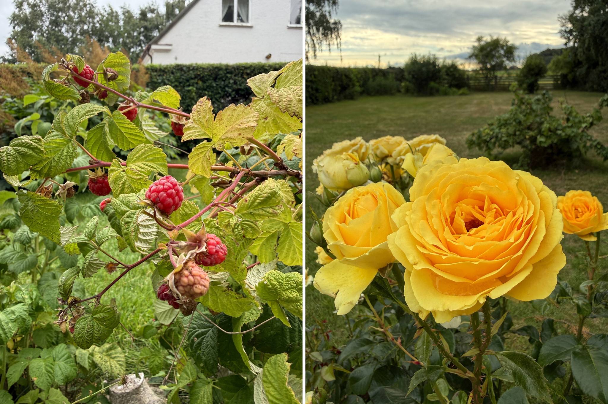 10 rum Gård/skog på Bostället i Stora Herrestad, Mensalvägen 109 Stora Herrestad Ystads kommun - bild 81