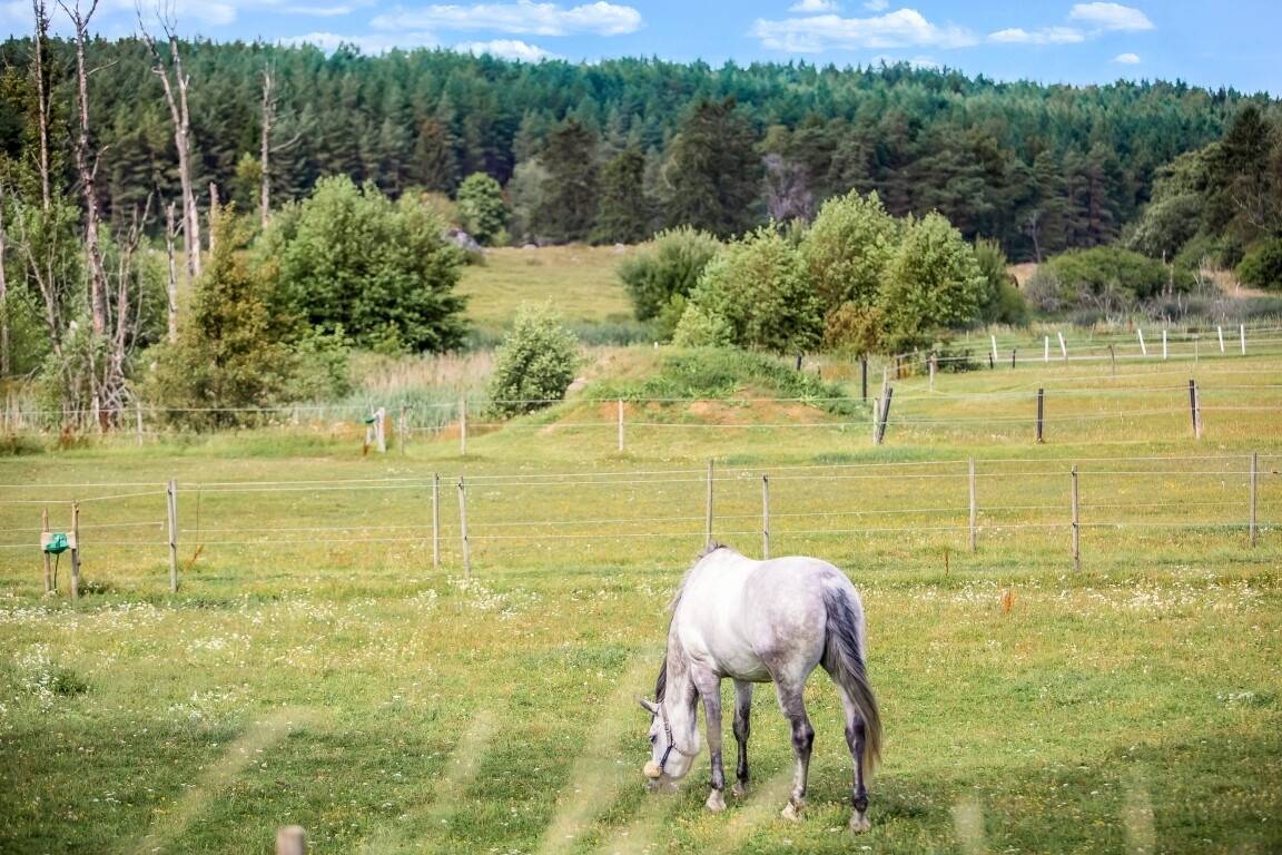 7 rum Gård utan jordbruk på Helgestagård Bro - Håbo-Tibble Upplands-Bro kommun - bild 4