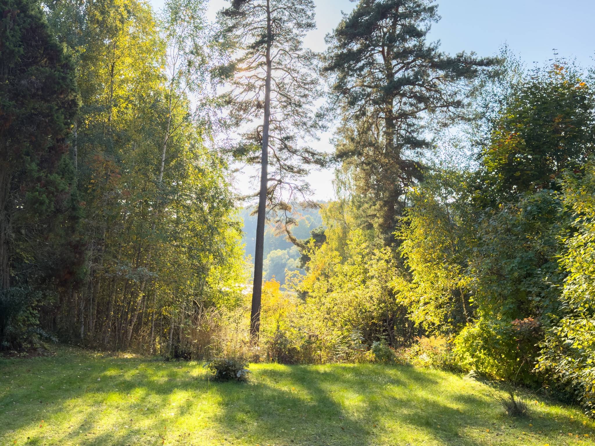 2 rum Fritidshus på Nåntuna 138 Lugnet Uppsala kommun - bild 3