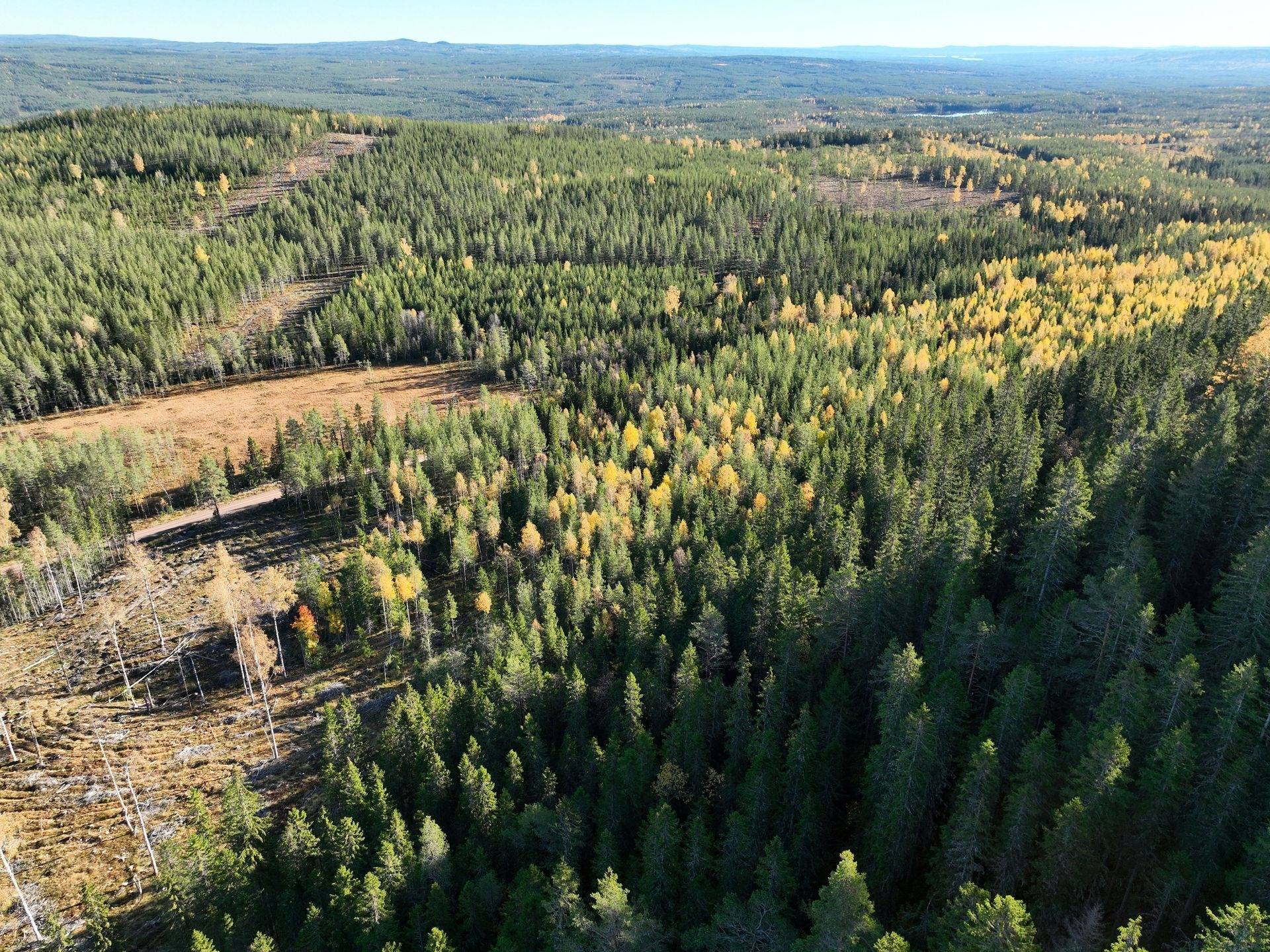 Gård/skog på Hansjö 8:5 Orsa kommun - bild 18