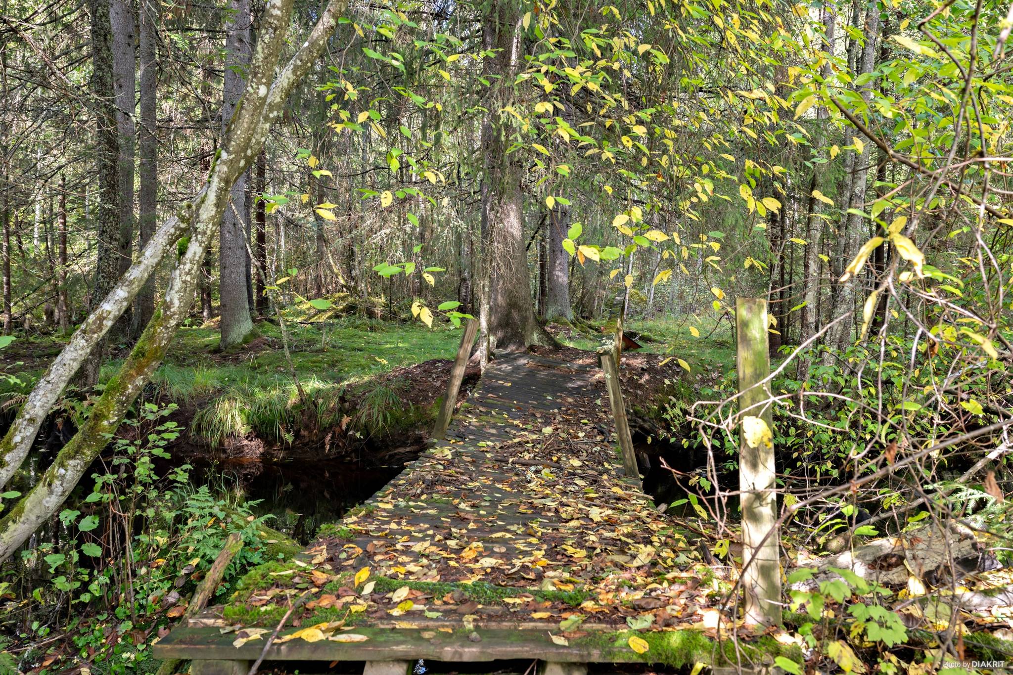 Villa på Lakenestorp 1:16 Lakene Hagfors kommun - bild 4