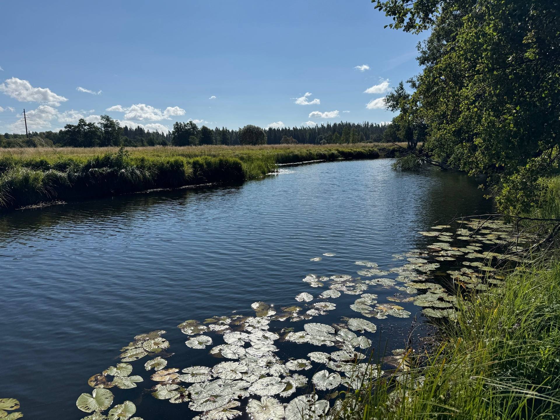 Gård med jordbruk på Ringestena Lillegården 1 Ringestena Svenljunga kommun - bild 70