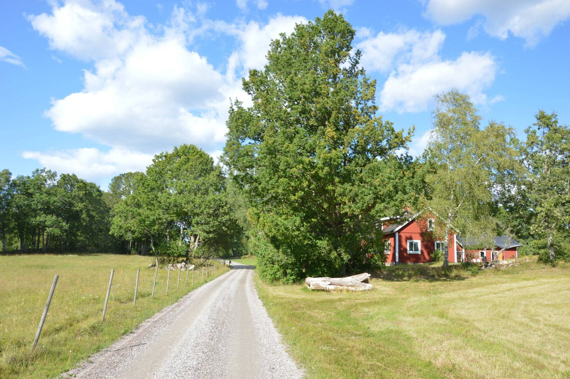 Gård med skogsbruk på Fårtorp Norregård 4 Annerstad Ljungby kommun - bild 6