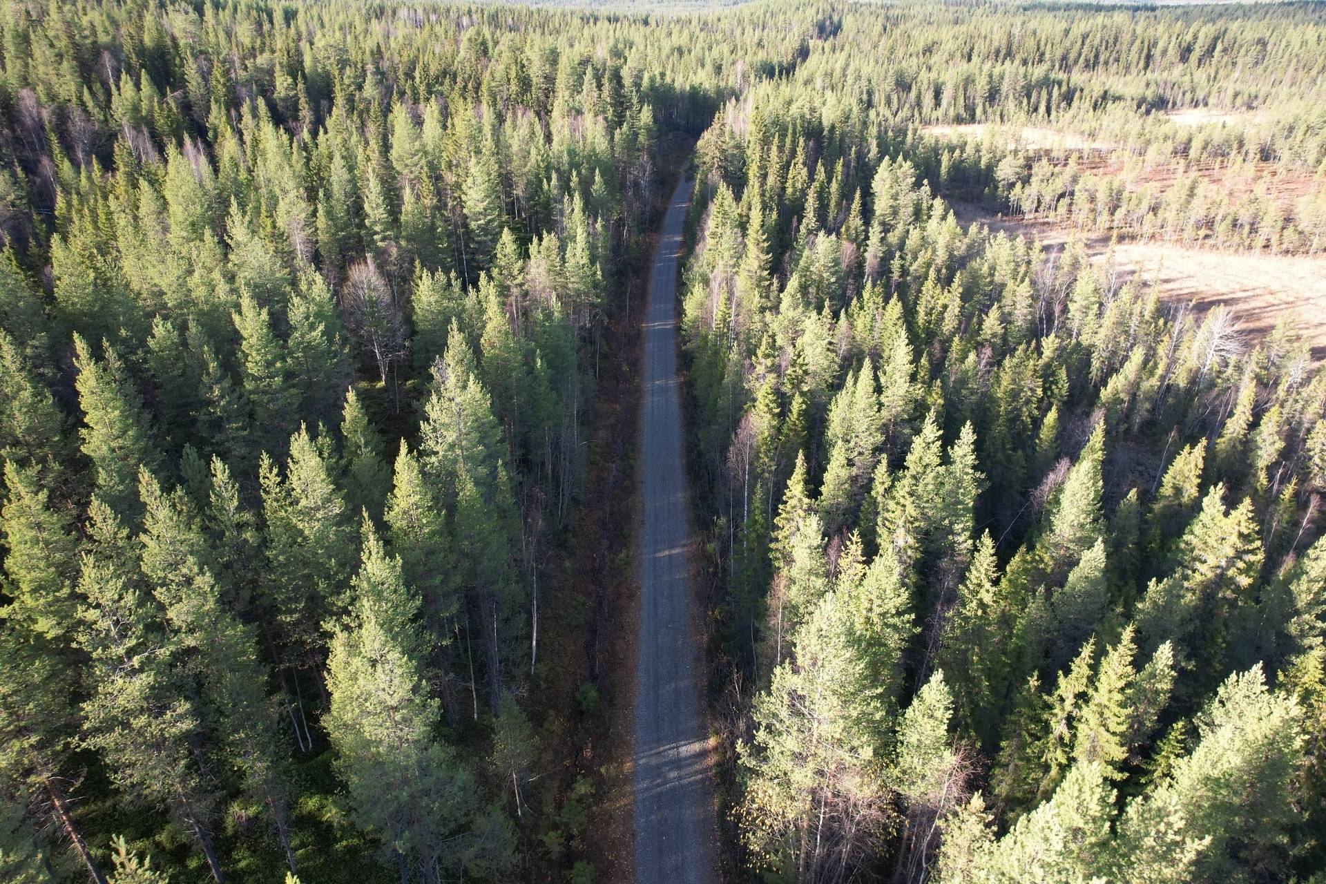 gård med skogsbruk på Adress saknas Gunnarn, Storumans kommun - bild 2
