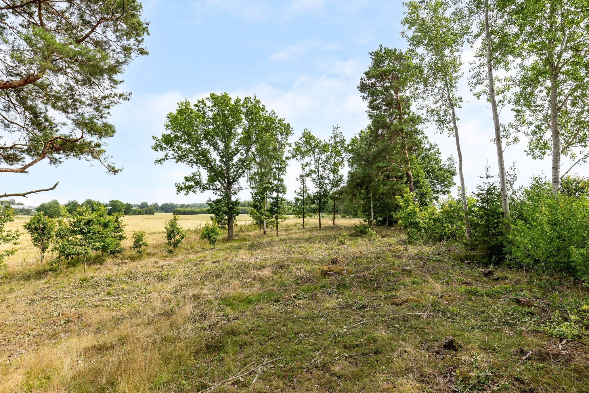 Vårdsberg, Linköpings kommun