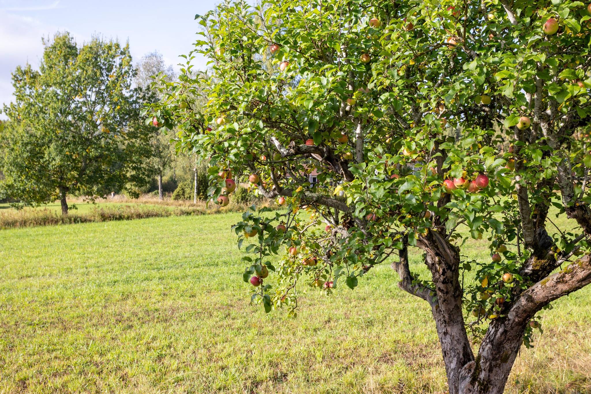 9 rum Villa på Brattfors 3 Kolsva Köpings kommun - bild 57