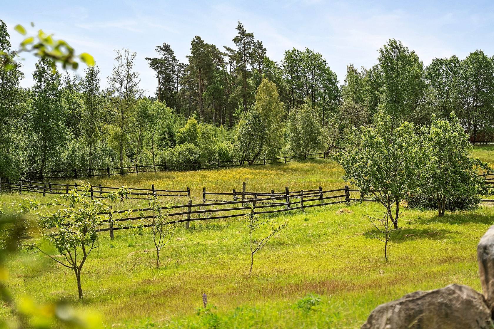 Gård/skog på Hoberg Marieberg 1 och 2 Centrala Vårgårda Vårgårda kommun - bild 5
