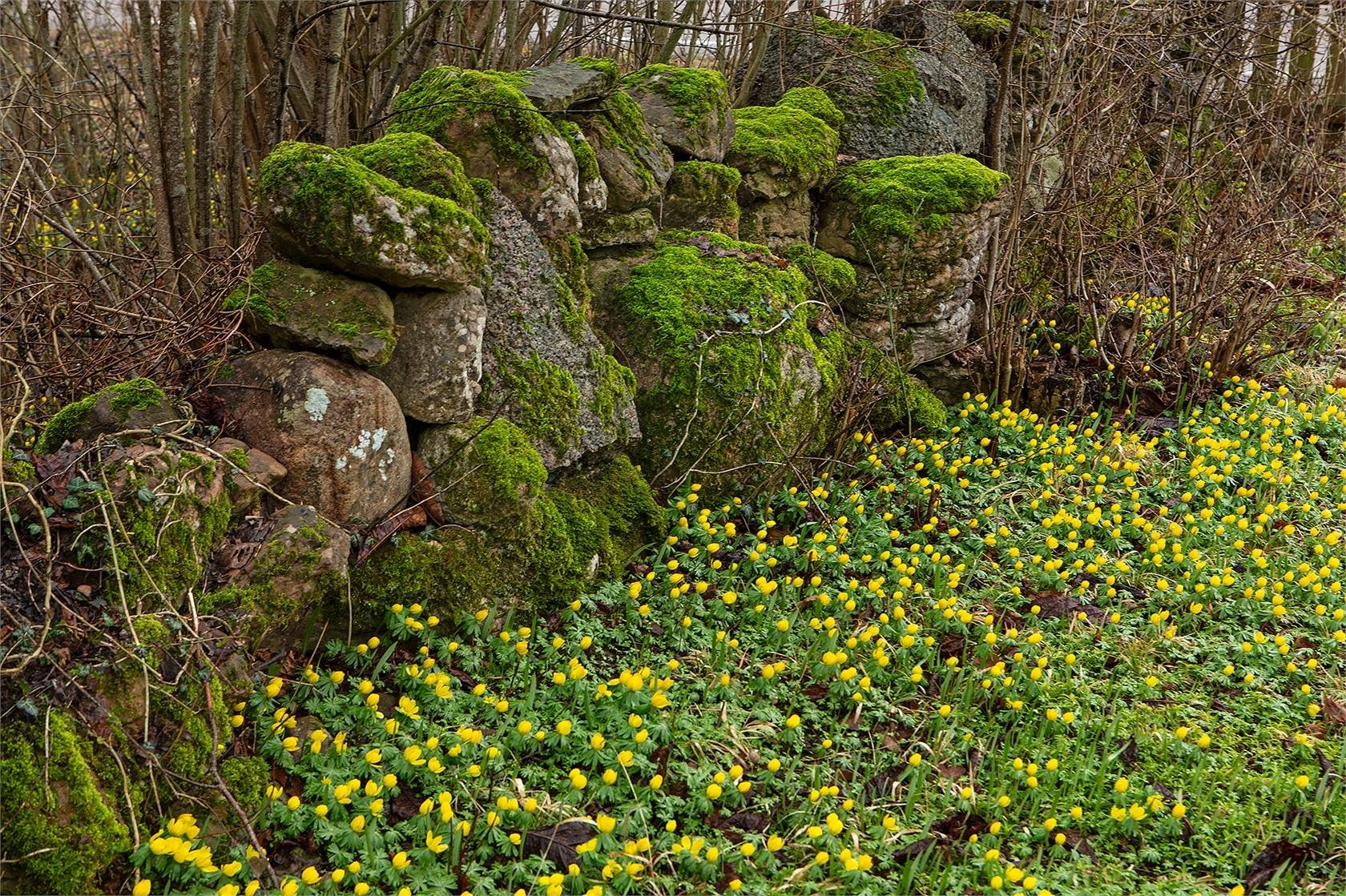 2 rum Vinterbonat fritidshus på Jordslätavägen 22 Sättra Borgholms kommun - bild 14