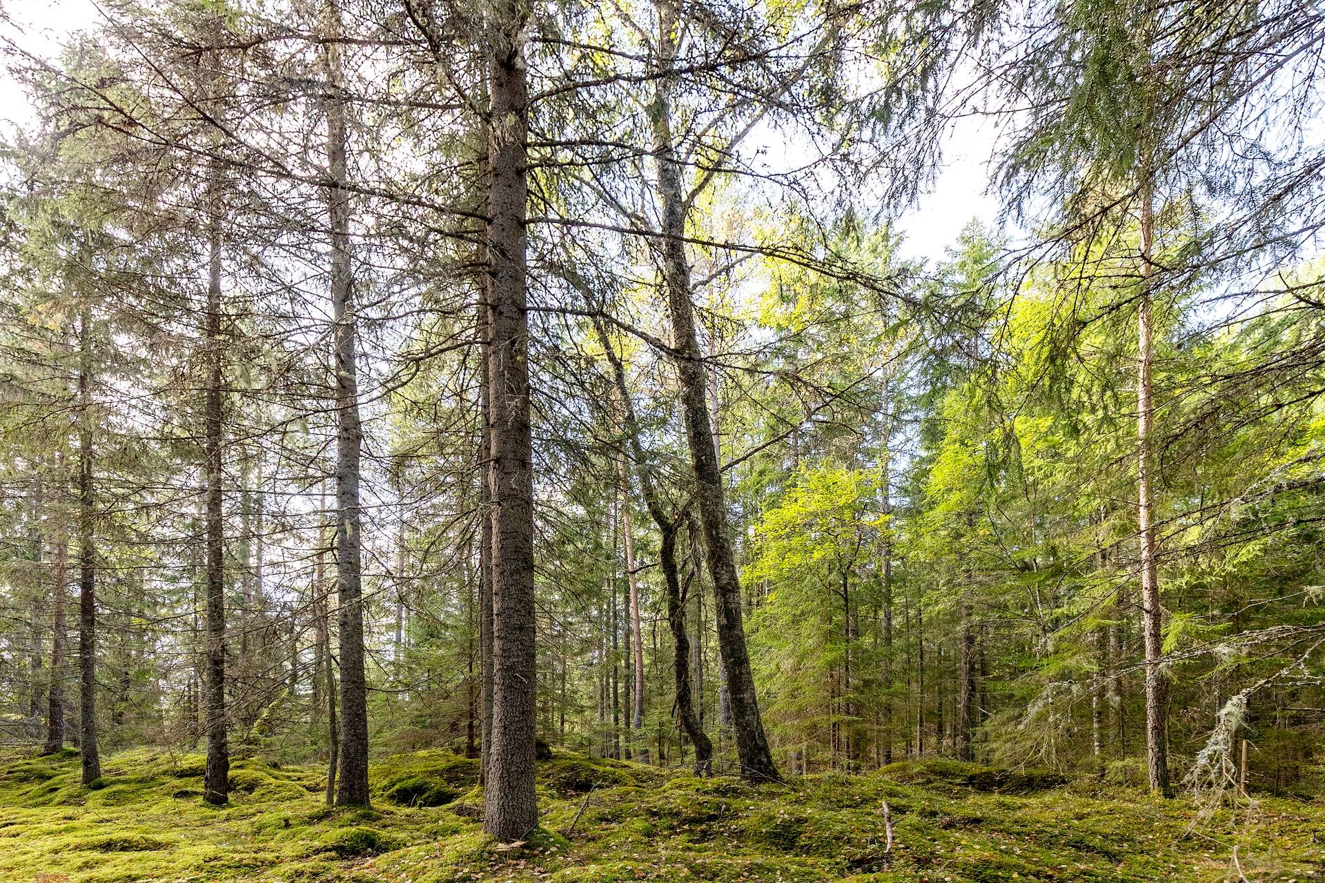 190 m² Gård med jordbruk på Djupviksängen Askersunds kommun - bild 32