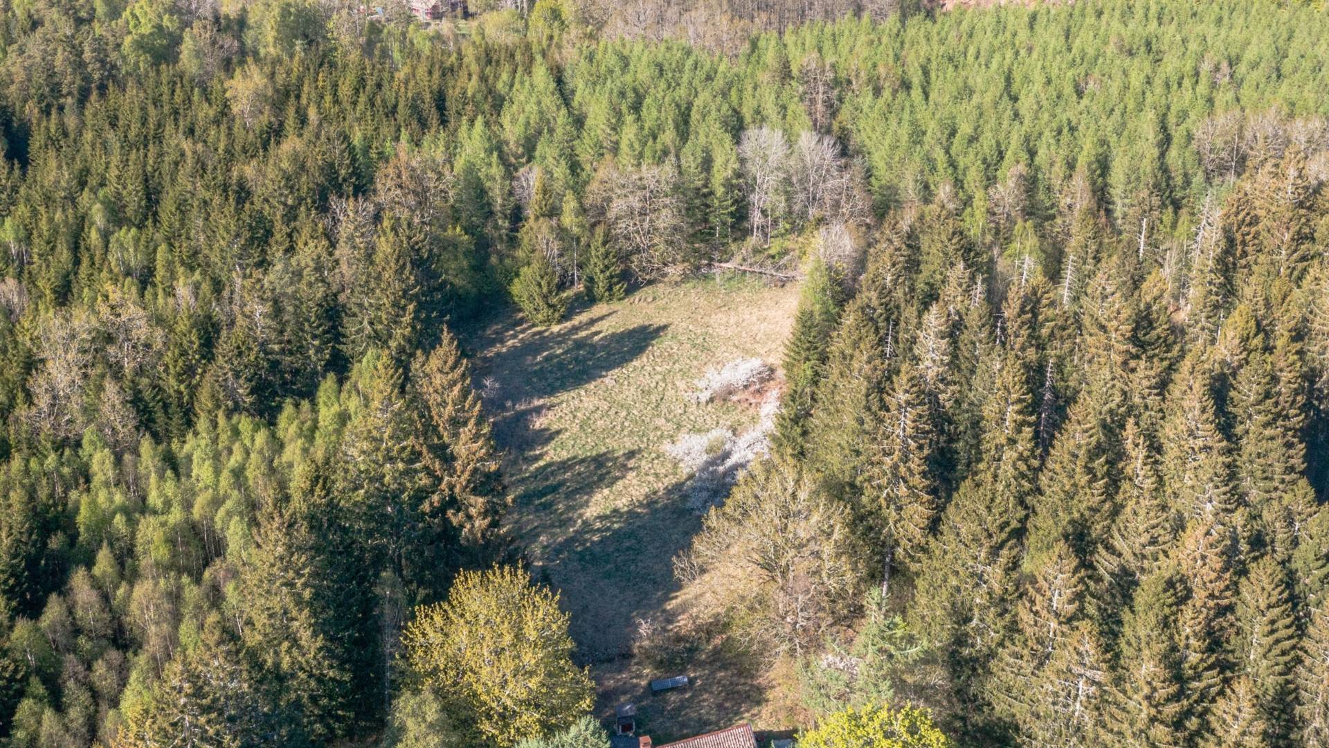 Gård med skogsbruk Hässleholms kommun - bild 2