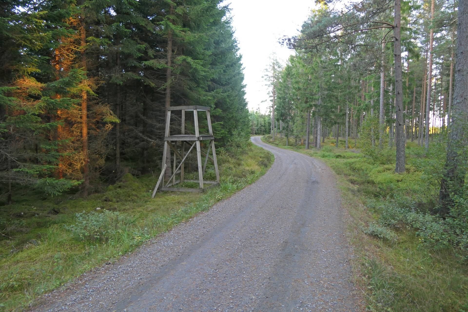 Gård/skog på Högalid Tranemo kommun - bild 2