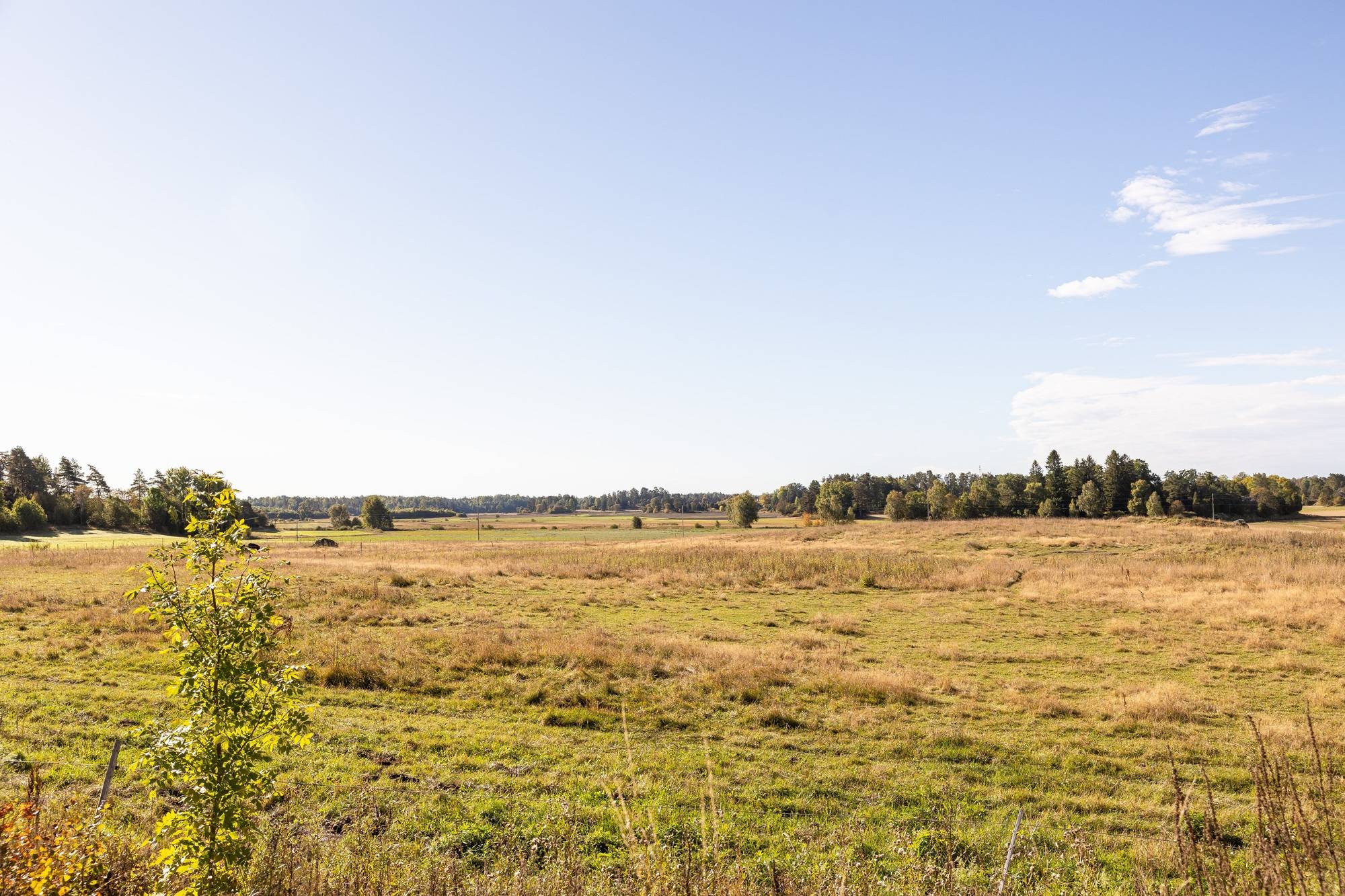 6 rum Gård/skog på Rickeby 21 Knutby Uppsala kommun - bild 7