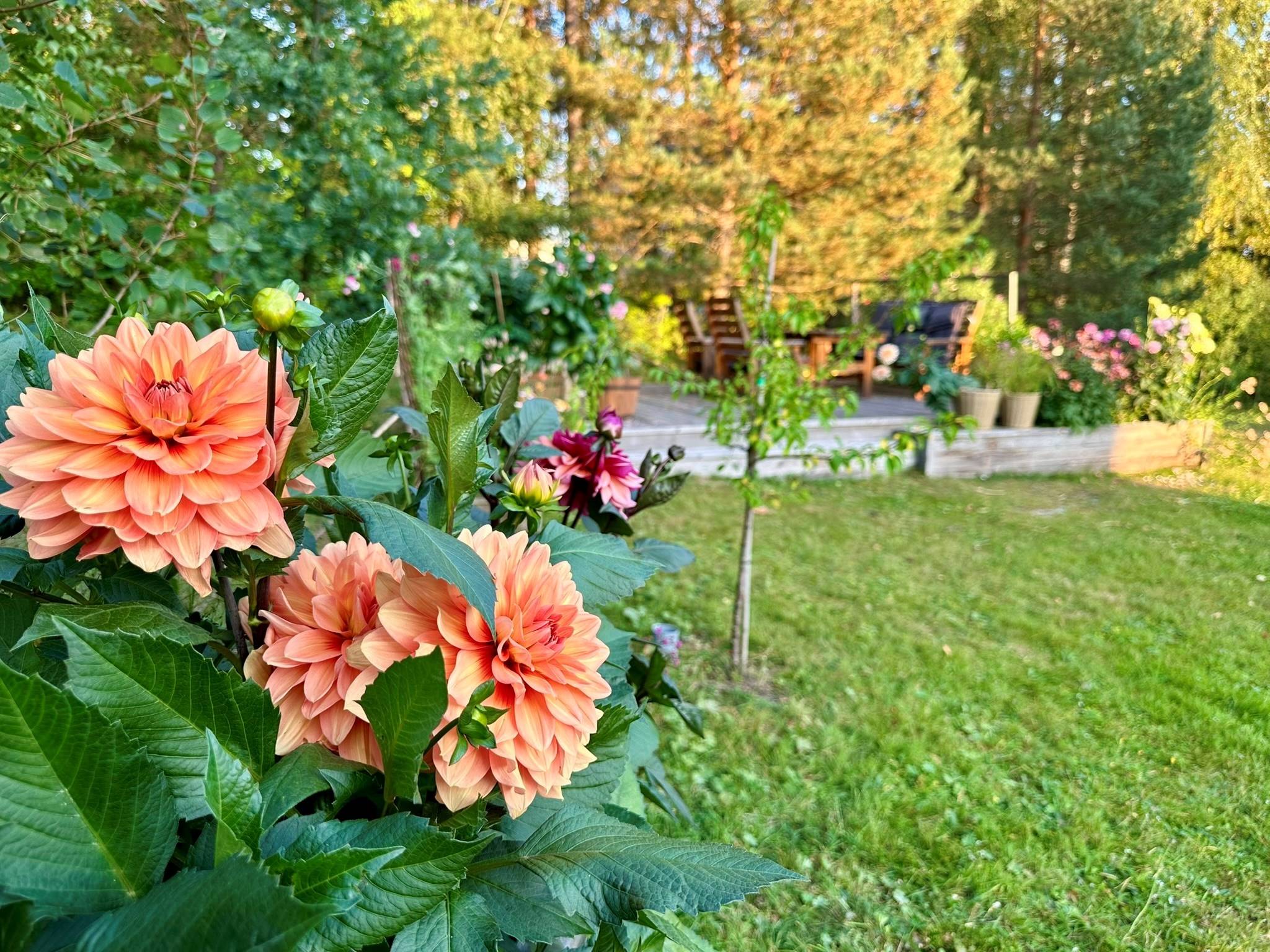 6 rum Gård/skog på Fränstavägen 211 Fränsta Ånge kommun - bild 96