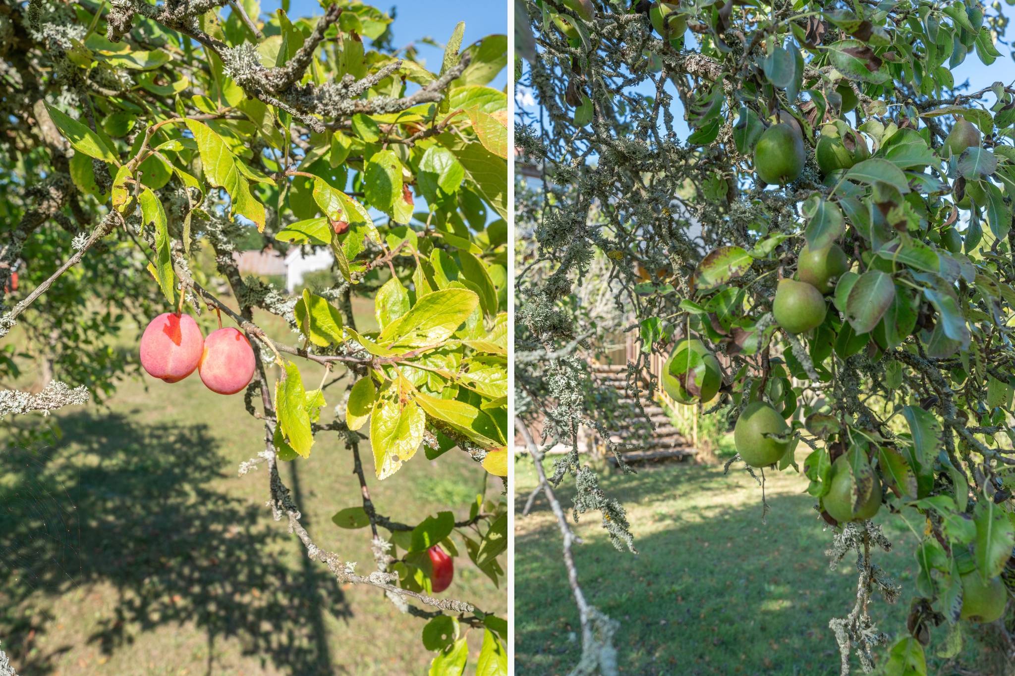 5 rum Villa på Sandbyvägen 21 Löttorp Borgholms kommun - bild 26