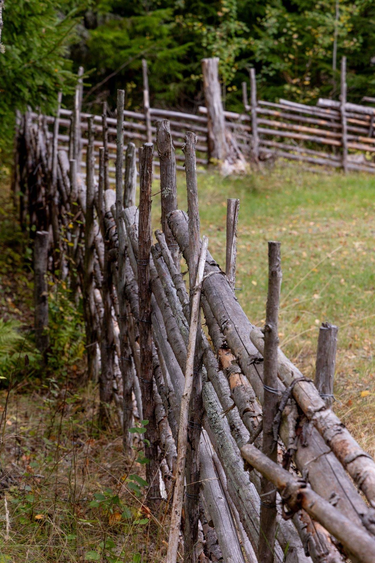 4 rum Gård/skog på Stormandebo Koltorp Västervik/Vimmerby Västerviks kommun - bild 12