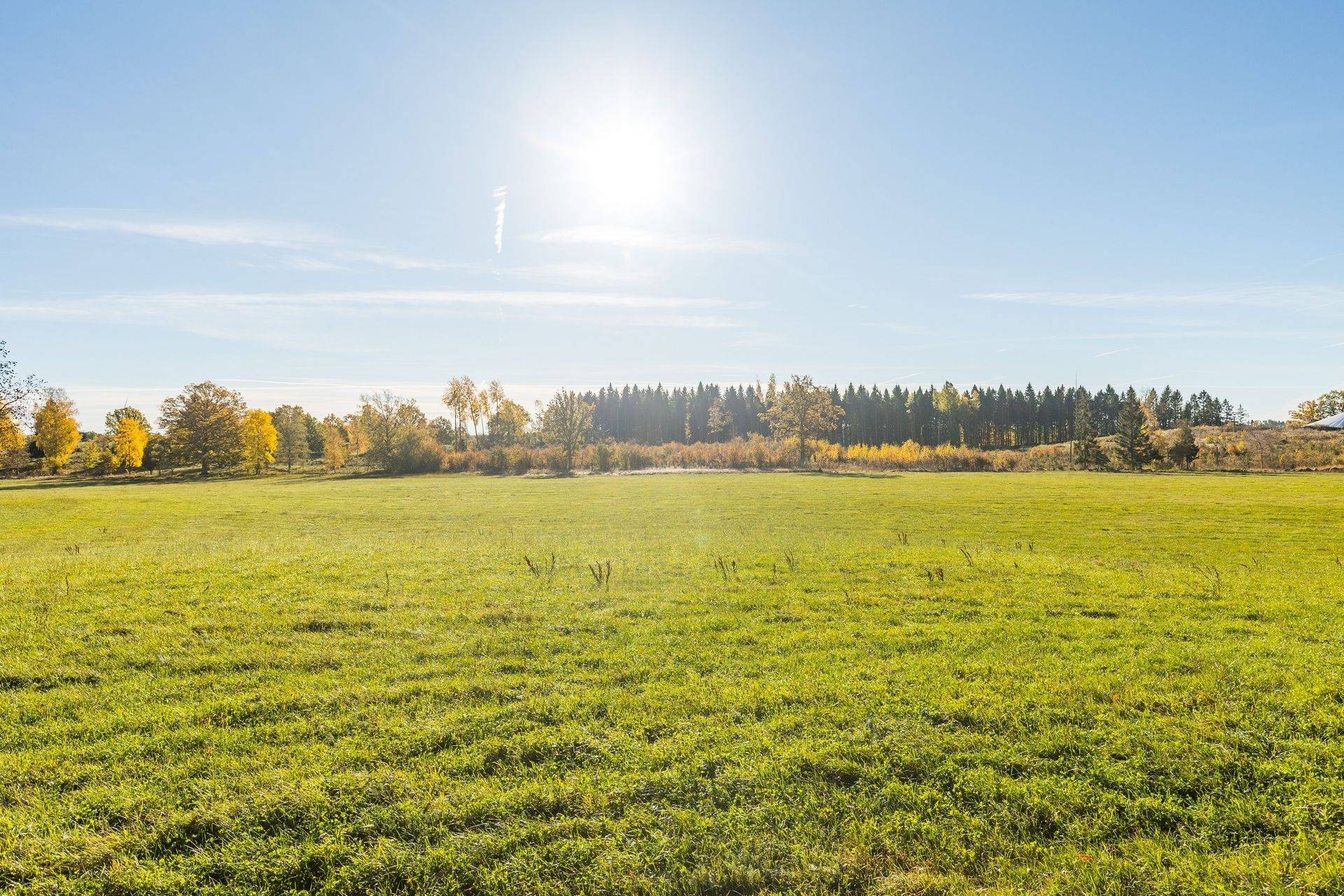 Gård/skog på Ledsjö Stora Erikstorp 1 Götene kommun - bild 29