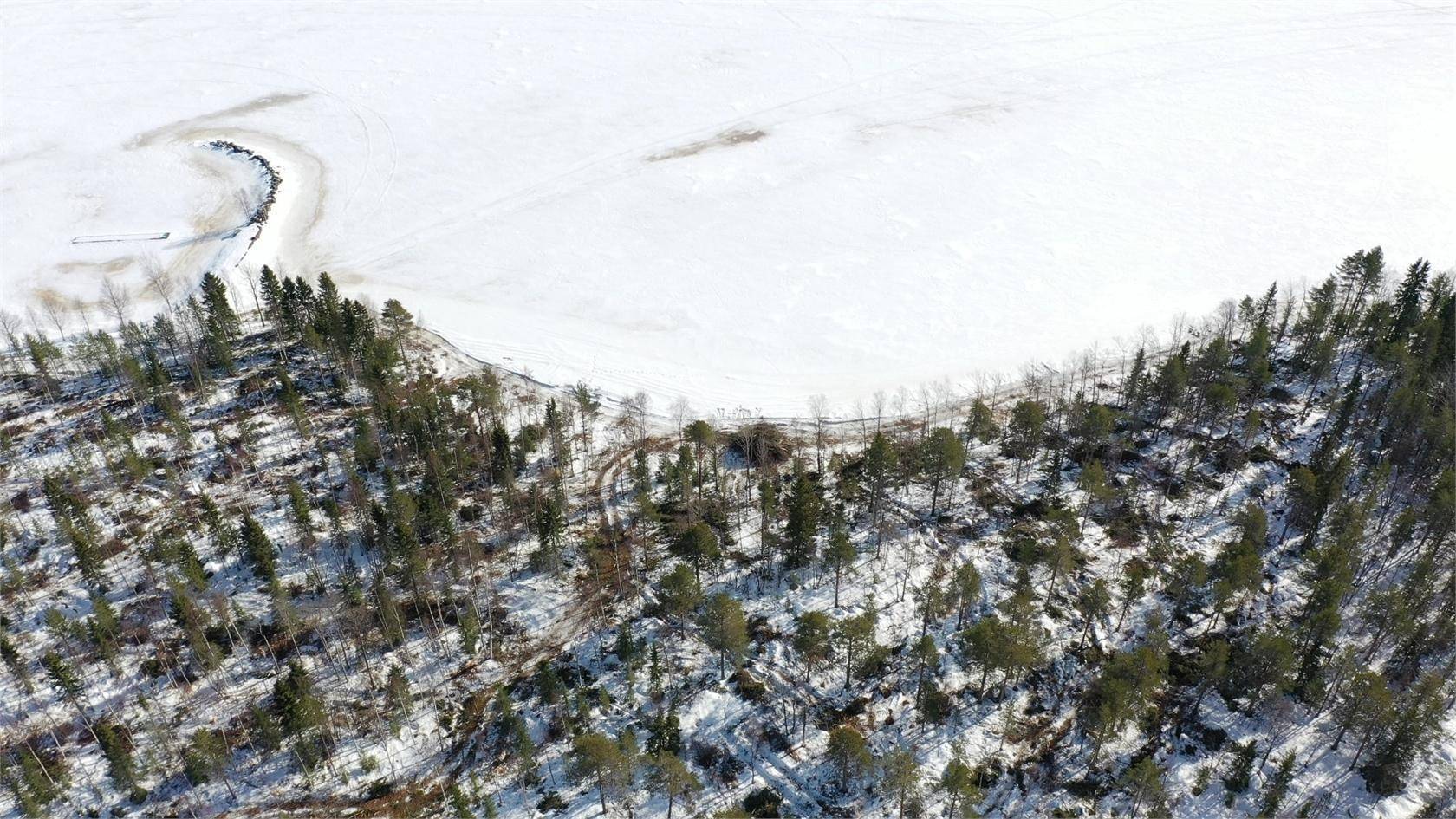 Kalix, Kalix kommun