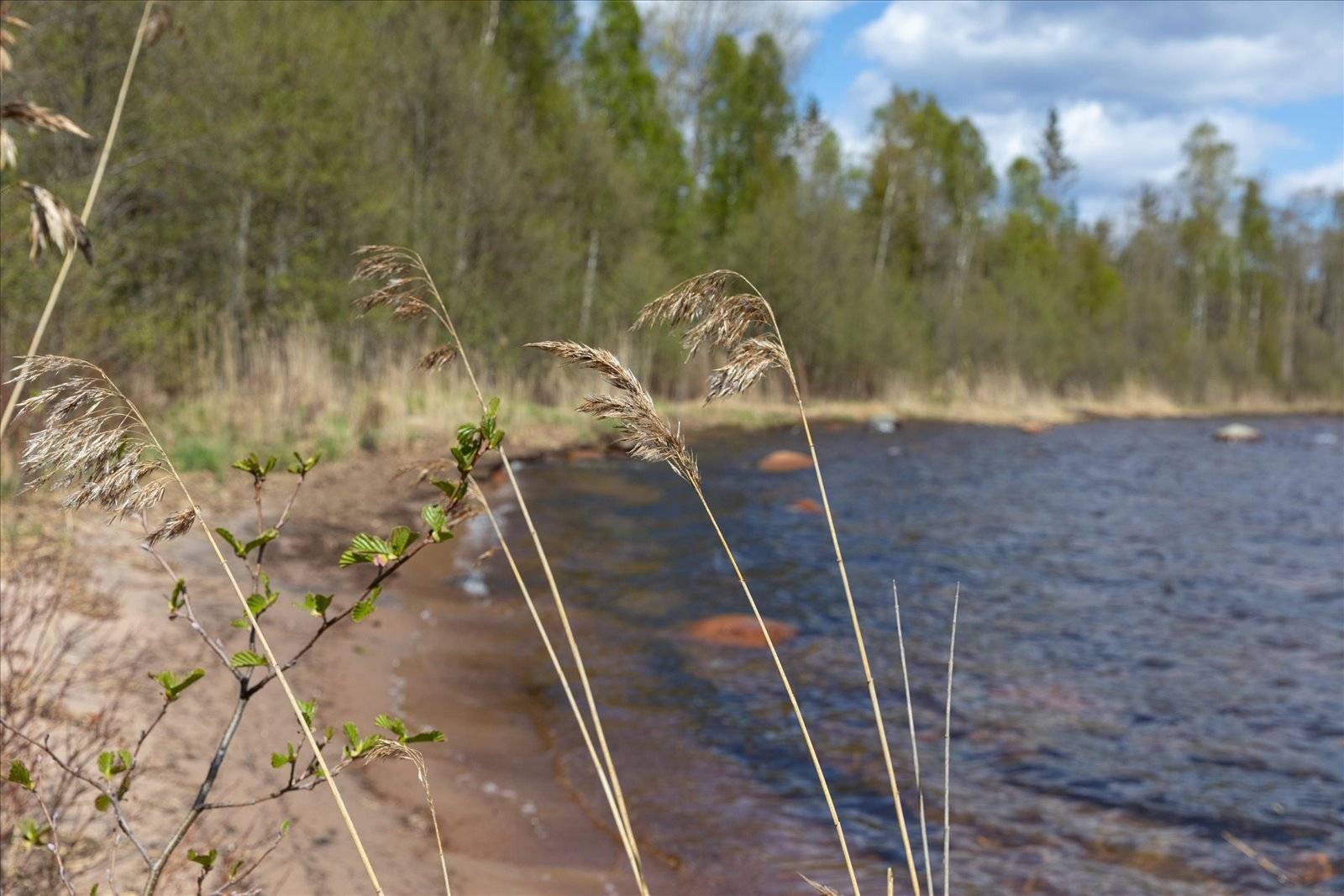 4 rum Fritidshus på Torserud Torserudssand Säffle kommun - bild 17