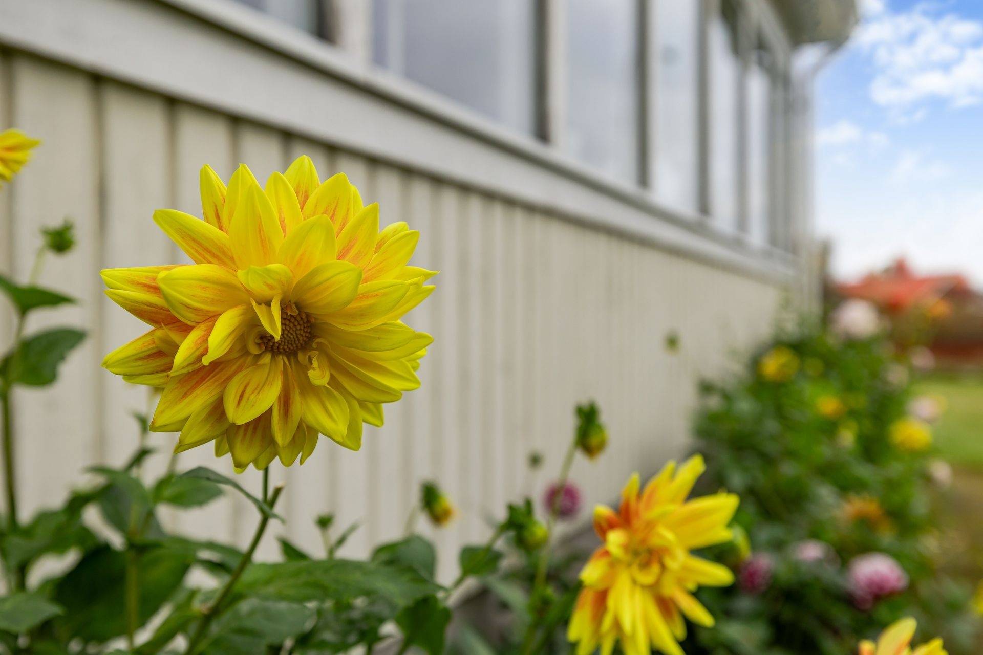 8 rum villa på Storgatan 52 Järnforsen, Hultsfreds kommun - bild 4