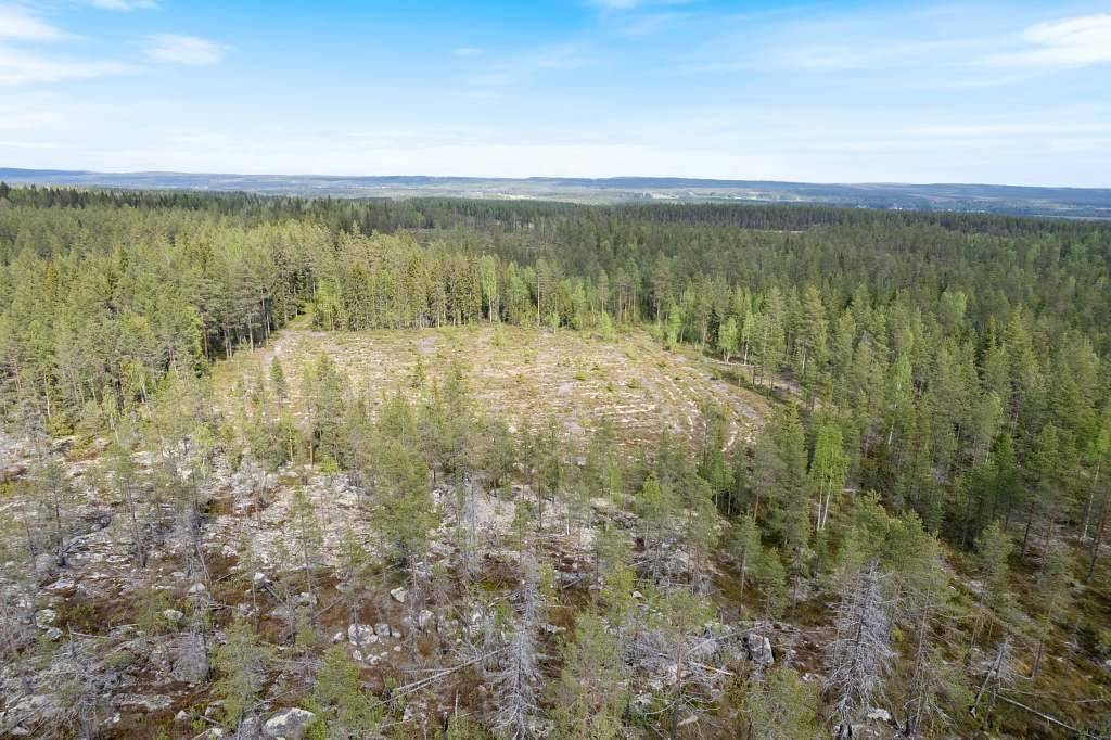 Gård med skogsbruk på PITEÅ KOPPARNÄS 10:14 Norrfjärden Piteå kommun - bild 7