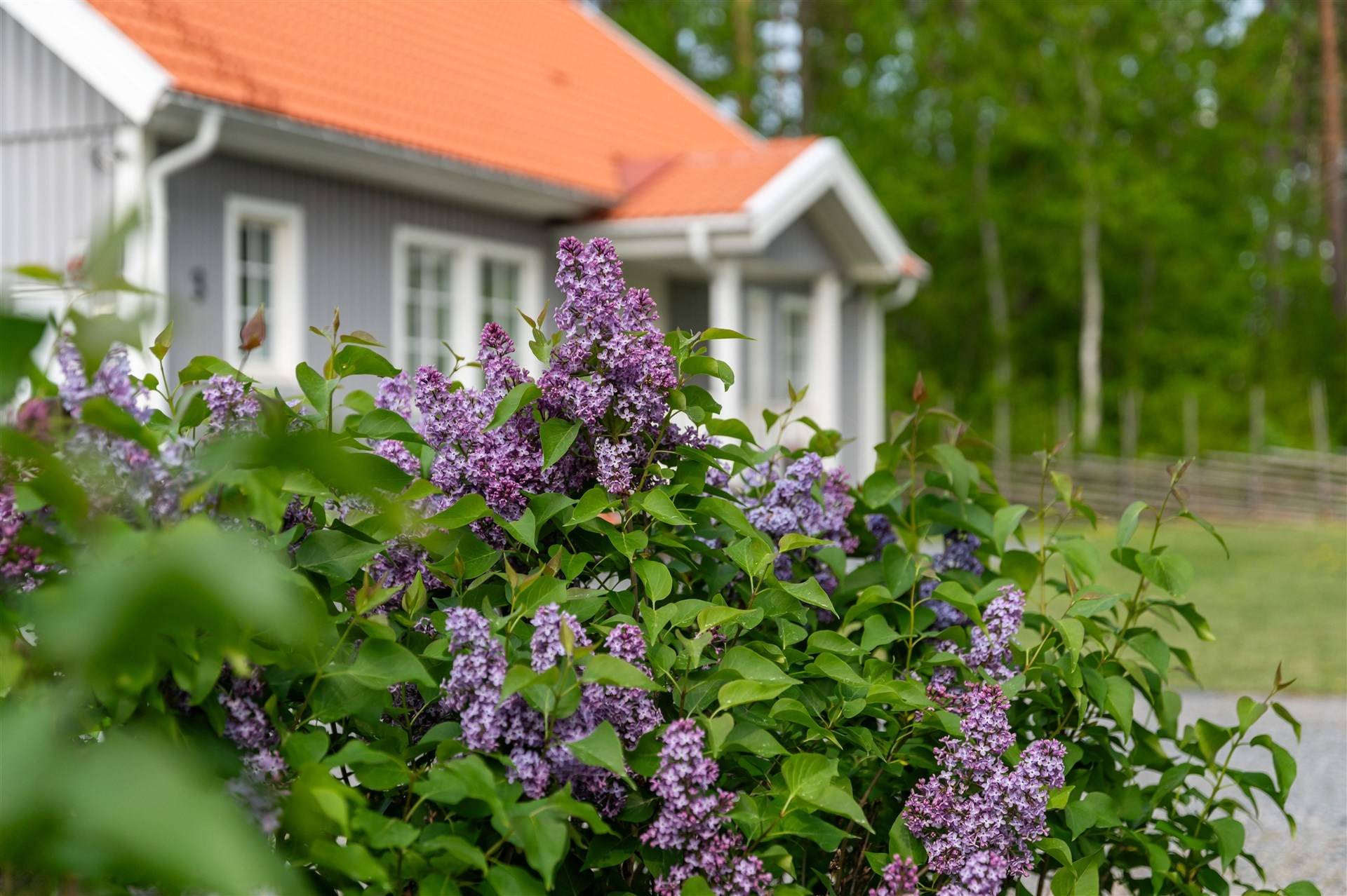 7 rum villa på Dragontorpsvägen 3 Norrtälje, Norrtälje kommun - bild 1