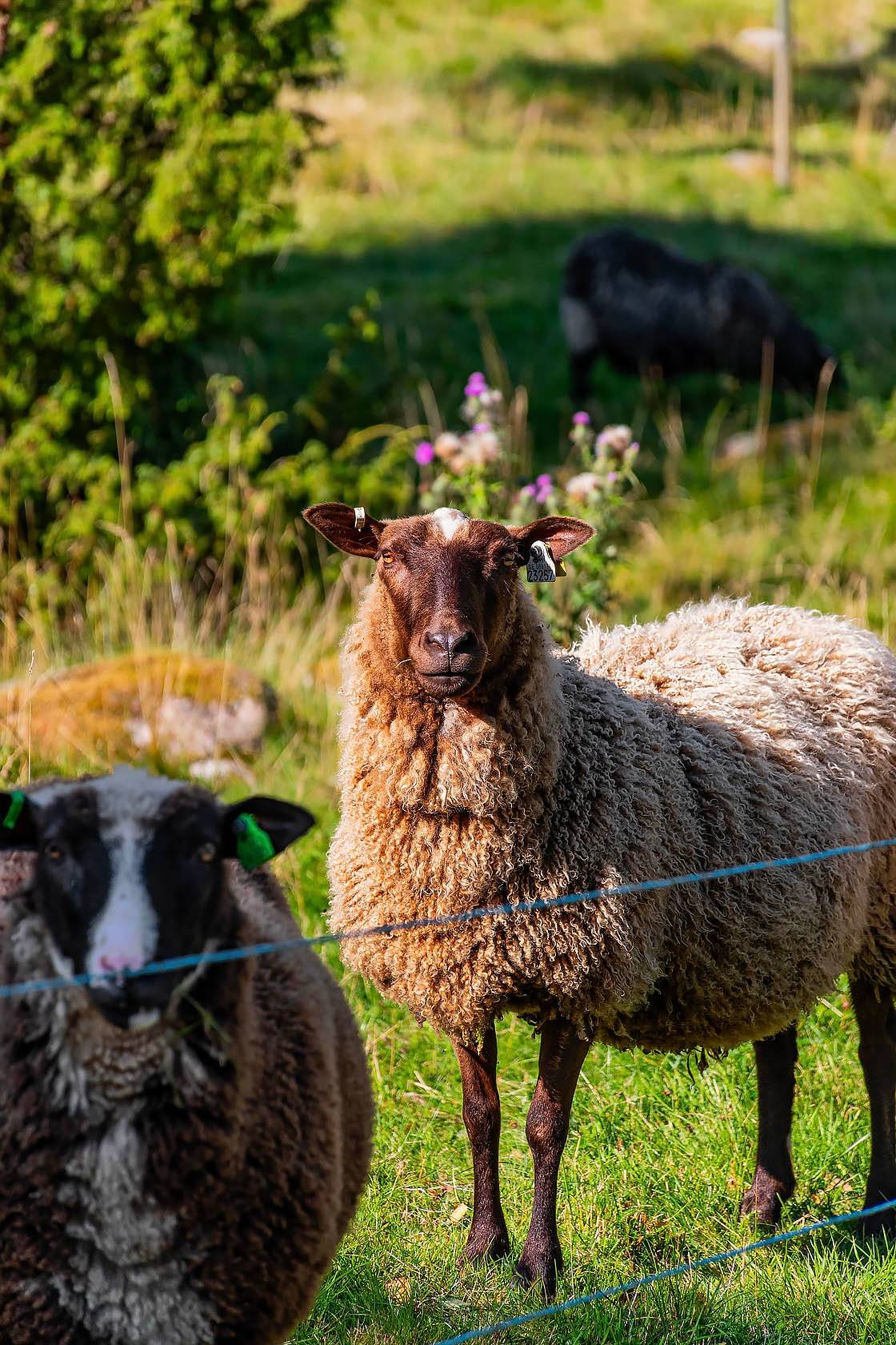 6 rum Gård utan jordbruk på Valltrand 2 Österåker Vingåkers kommun - bild 24