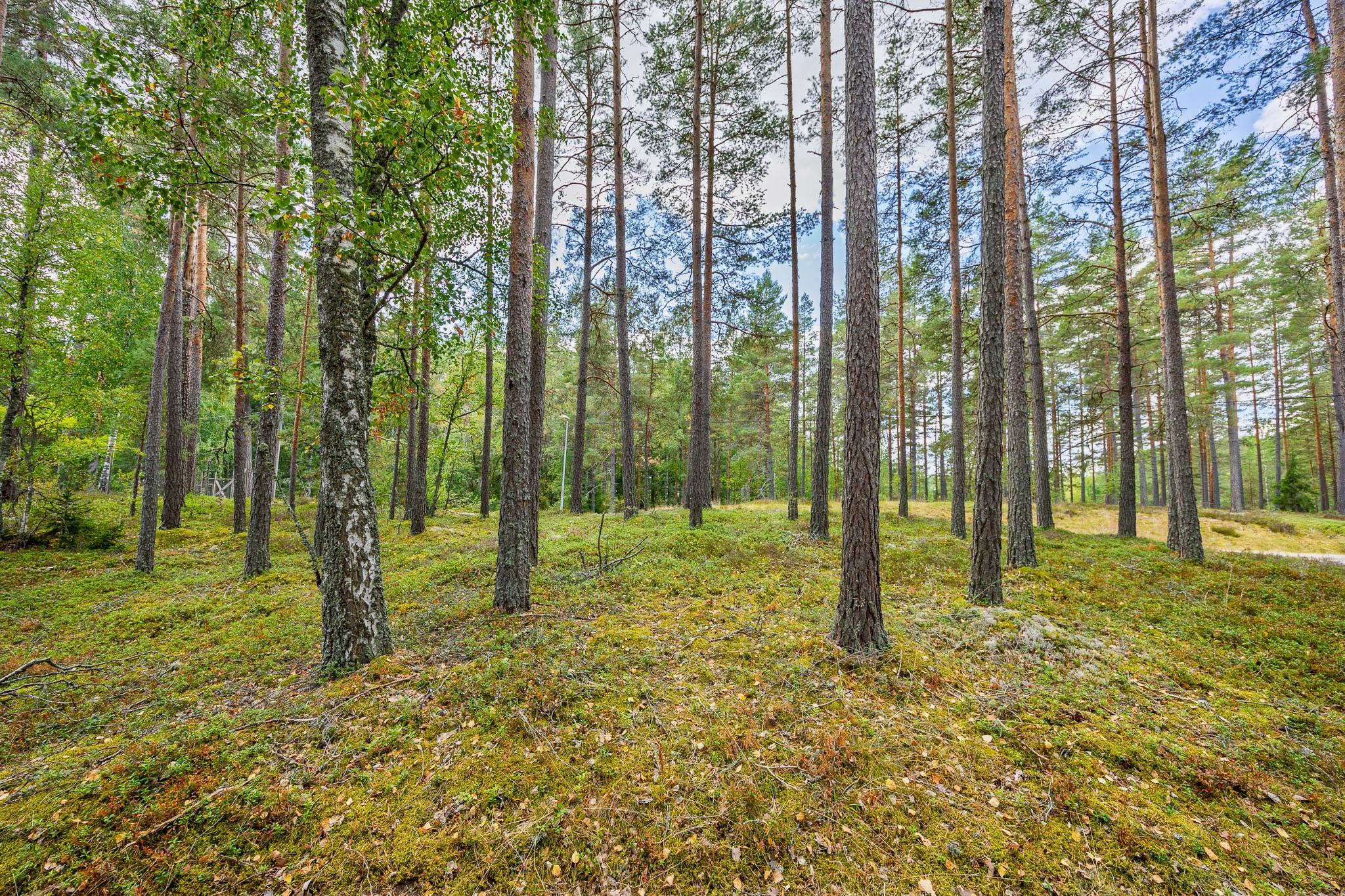 Tomt på Spilhammarvägen 19 Mariannelund Eksjö kommun - bild 7