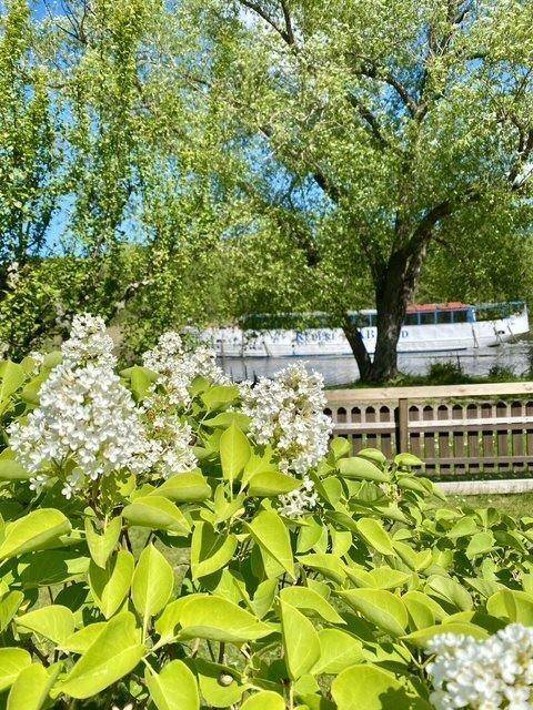 Linköping, Linköpings kommun