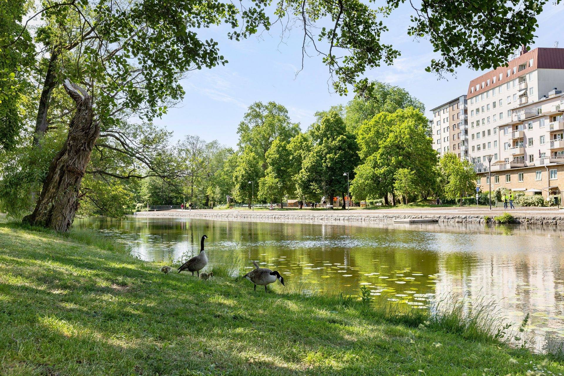 2 rum Lägenhet på Drottninggatan 2 Centralt Linköpings kommun - bild 18