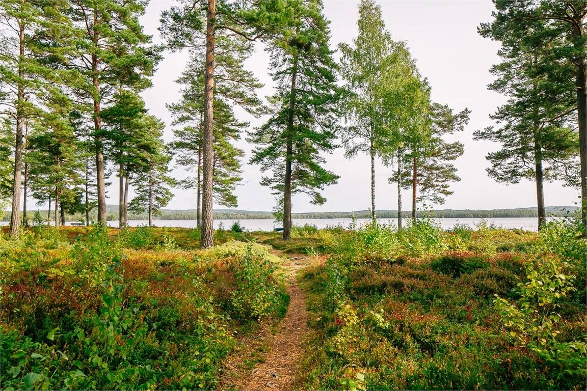 4 rum Vinterbonat fritidshus på Åvikstrand Granliden 8 Undenäs med omnejd Karlsborgs kommun - bild 42