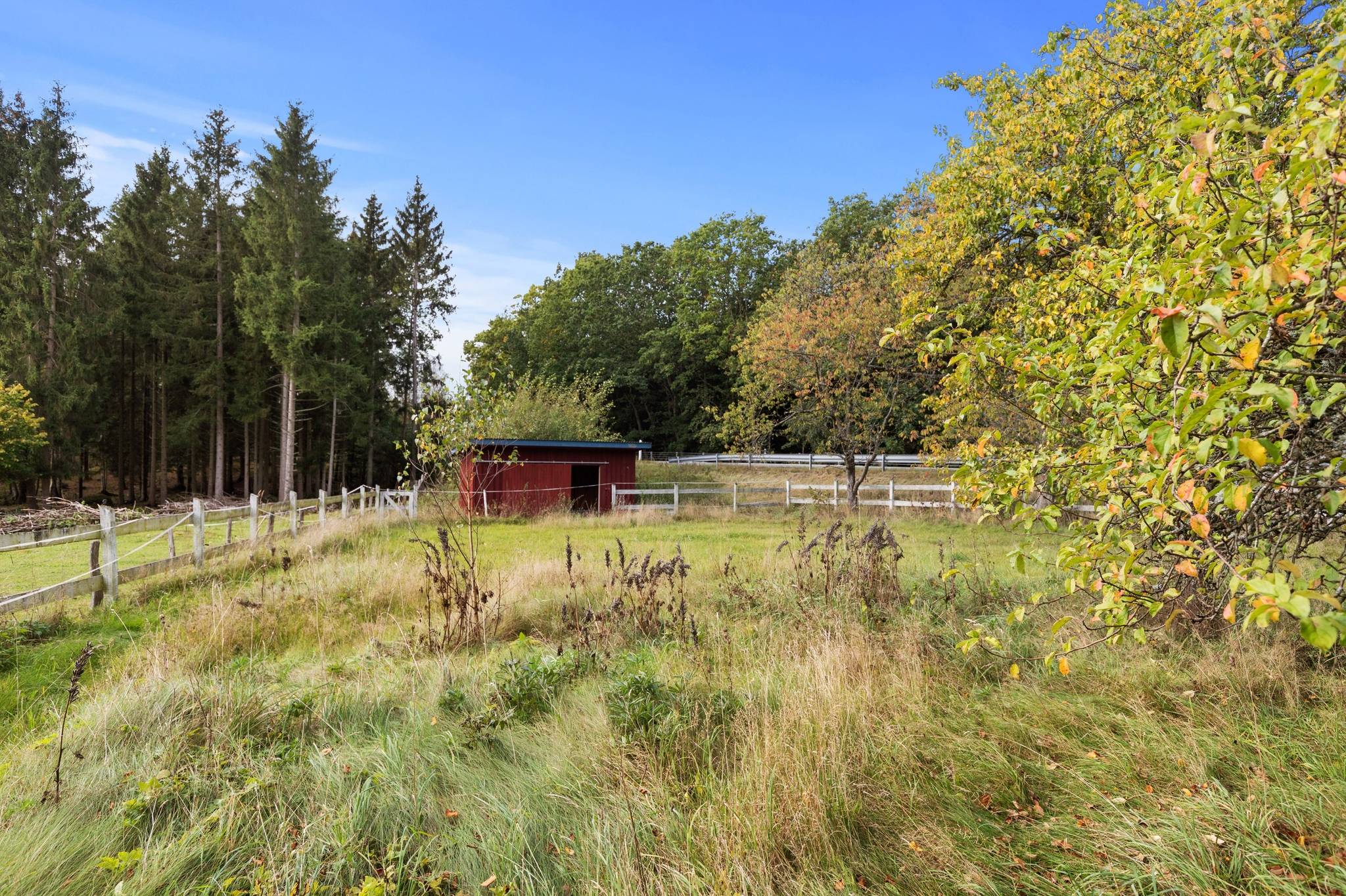 3 rum Fritidshus på Ranseröd 4301 och 4300 Hässleholms kommun - bild 34
