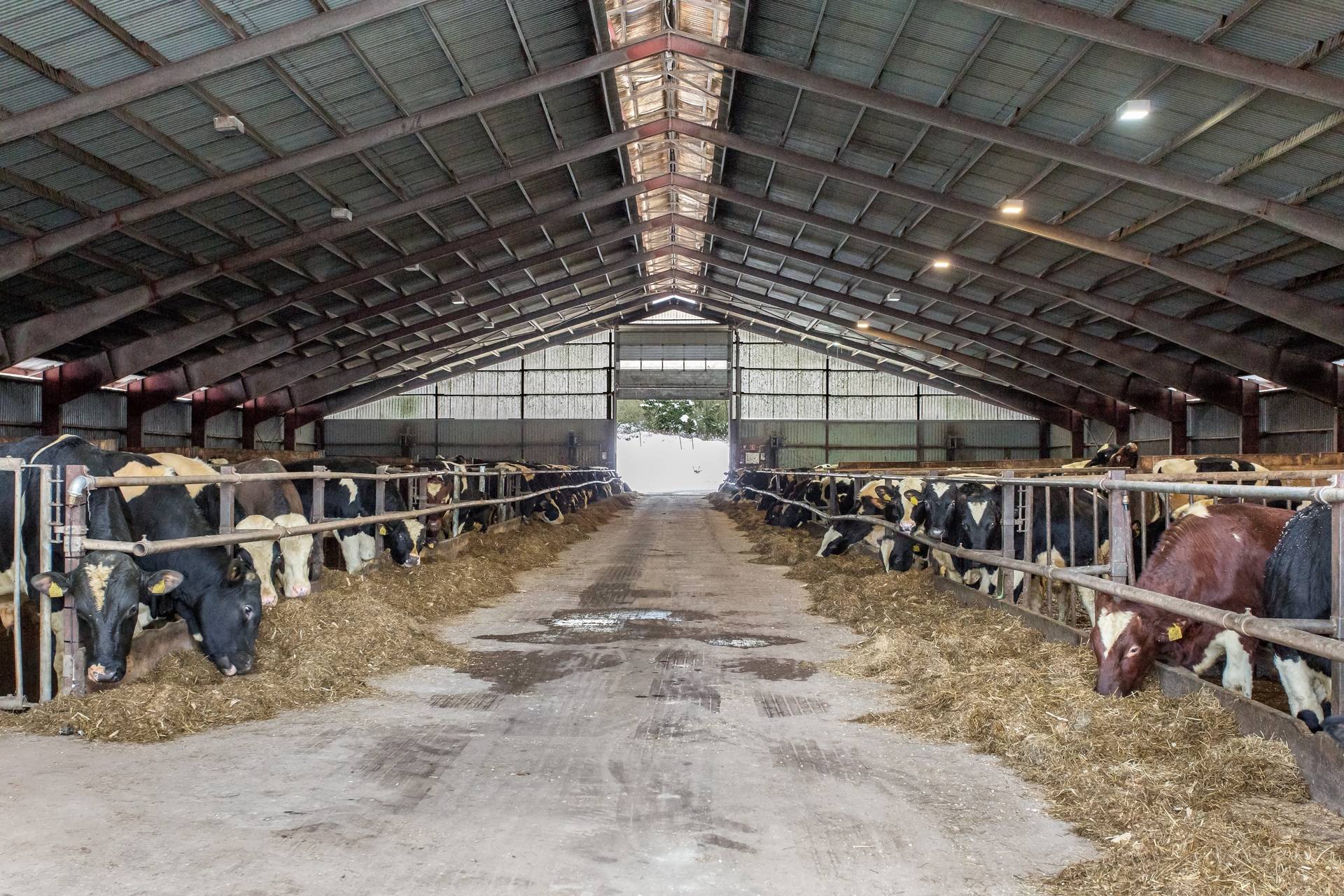 6 rum Gård med jordbruk på Ysby 249 S Halland Laholms kommun - bild 18