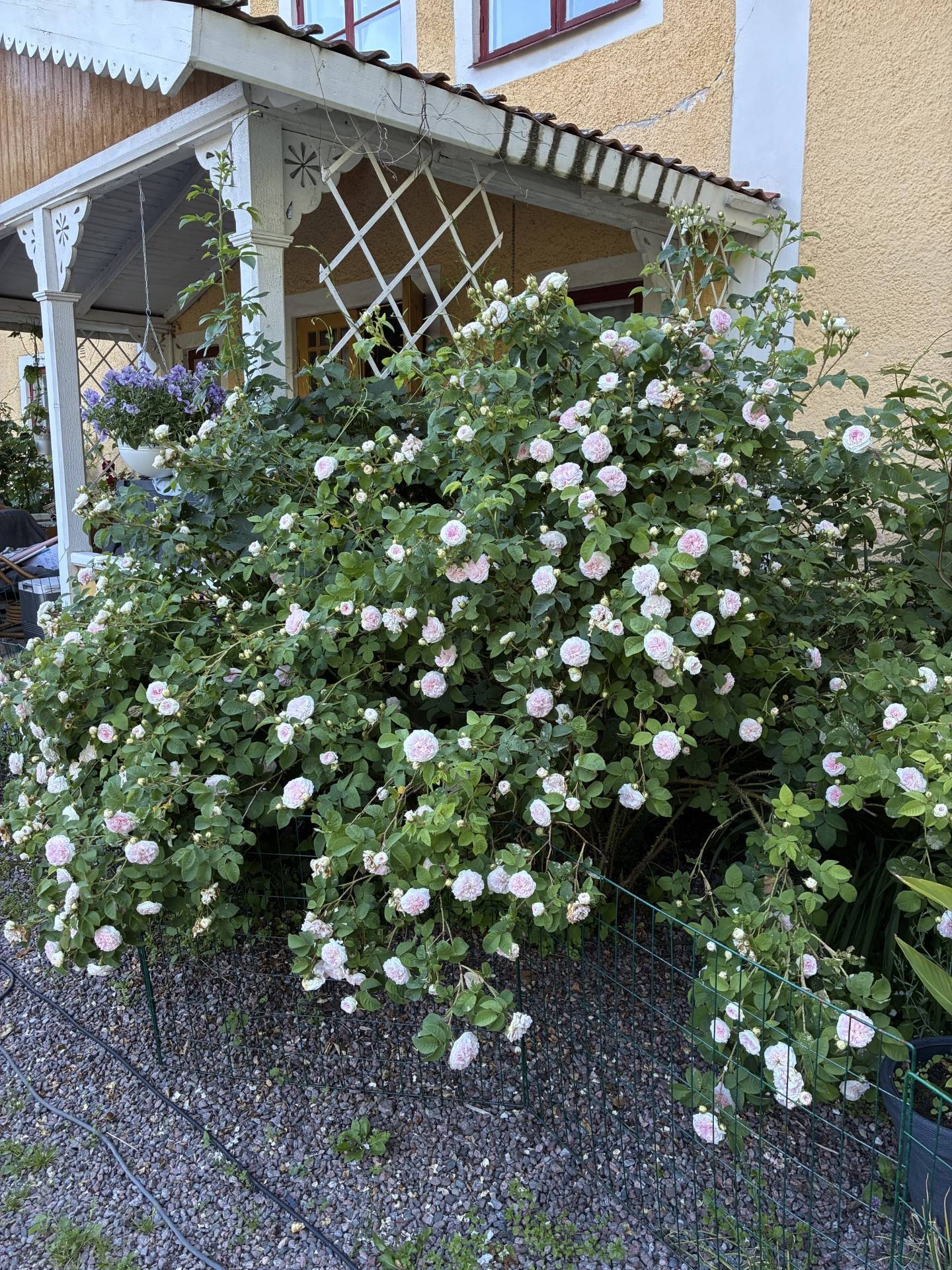 9 rum Villa på Grebo Kattorp Grebo Åtvidabergs kommun - bild 41