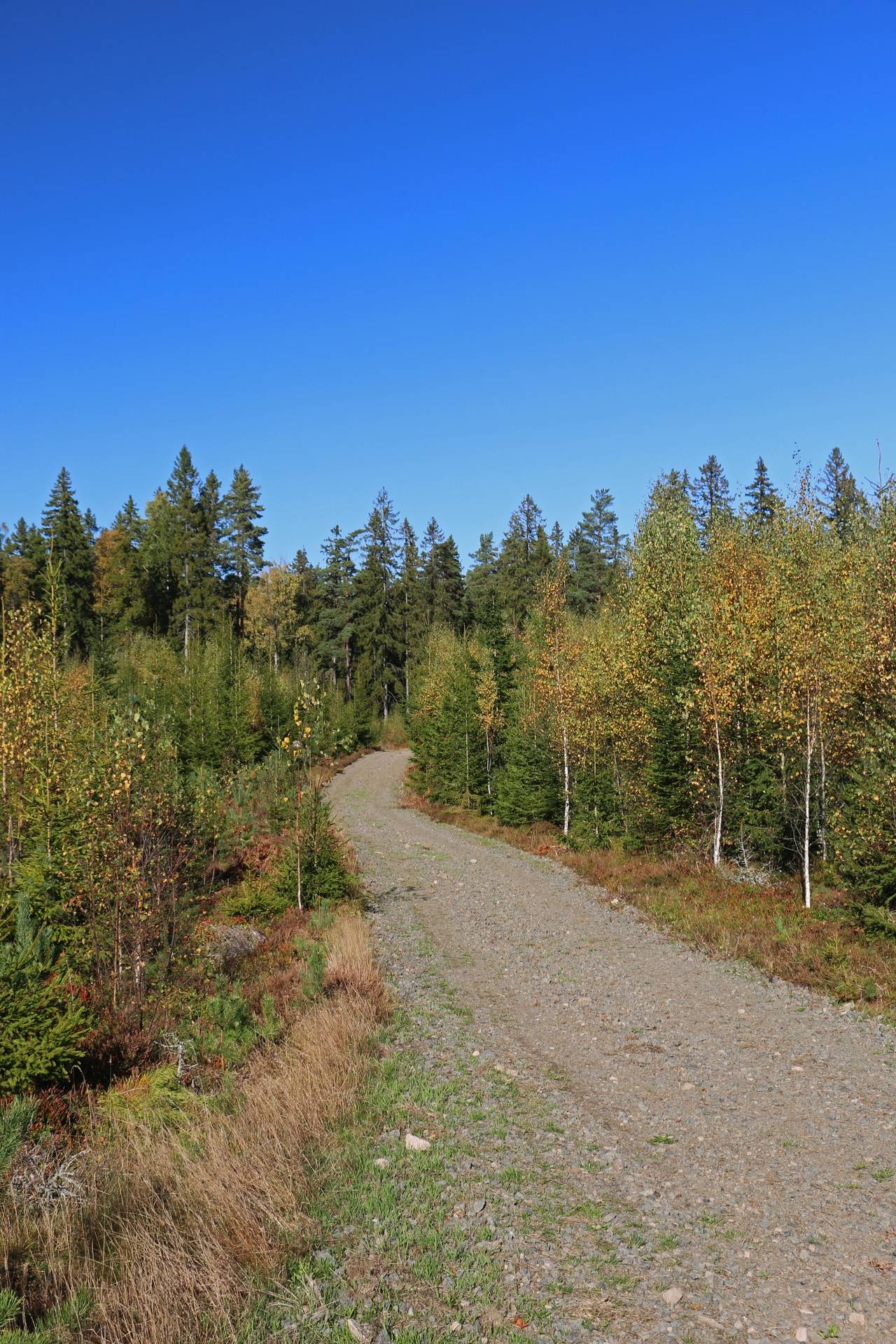 Gård med jordbruk på Älmekulla Ydre kommun - bild 21