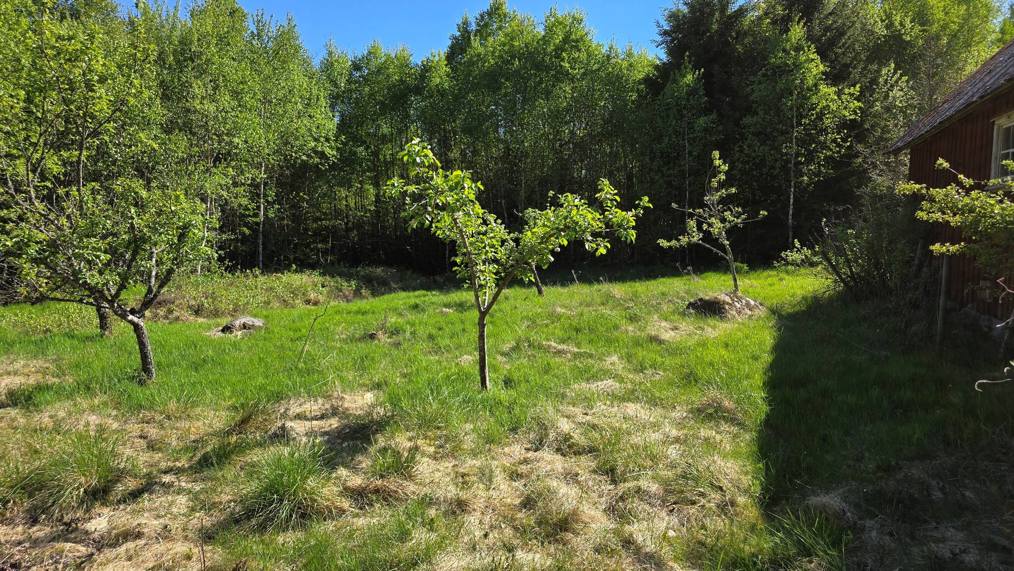 3 rum Vinterbonat fritidshus på Äskebo BJÖRKELUND 101 Hylte kommun - bild 87