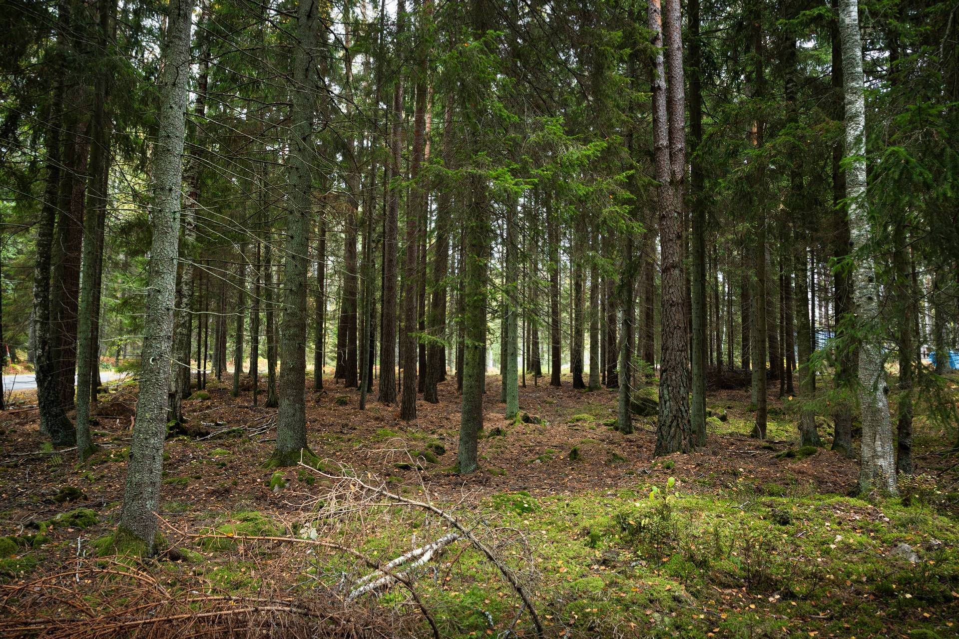 5 rum Gård/skog på Mellringe gård 1 Läggesta/Hedlandet Mariefred Strängnäs kommun - bild 69