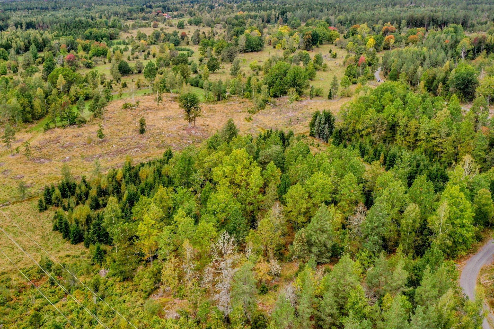 4 rum Gård/skog på Stormandebo Koltorp Västervik/Vimmerby Västerviks kommun - bild 40