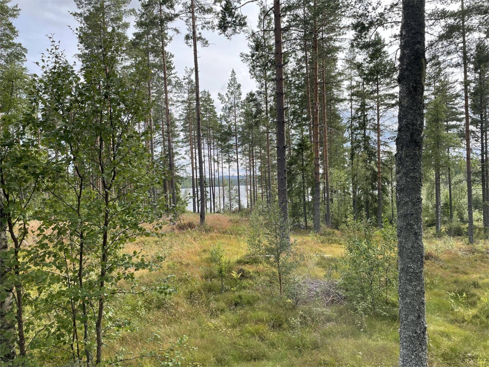 Östmark, Torsby kommun