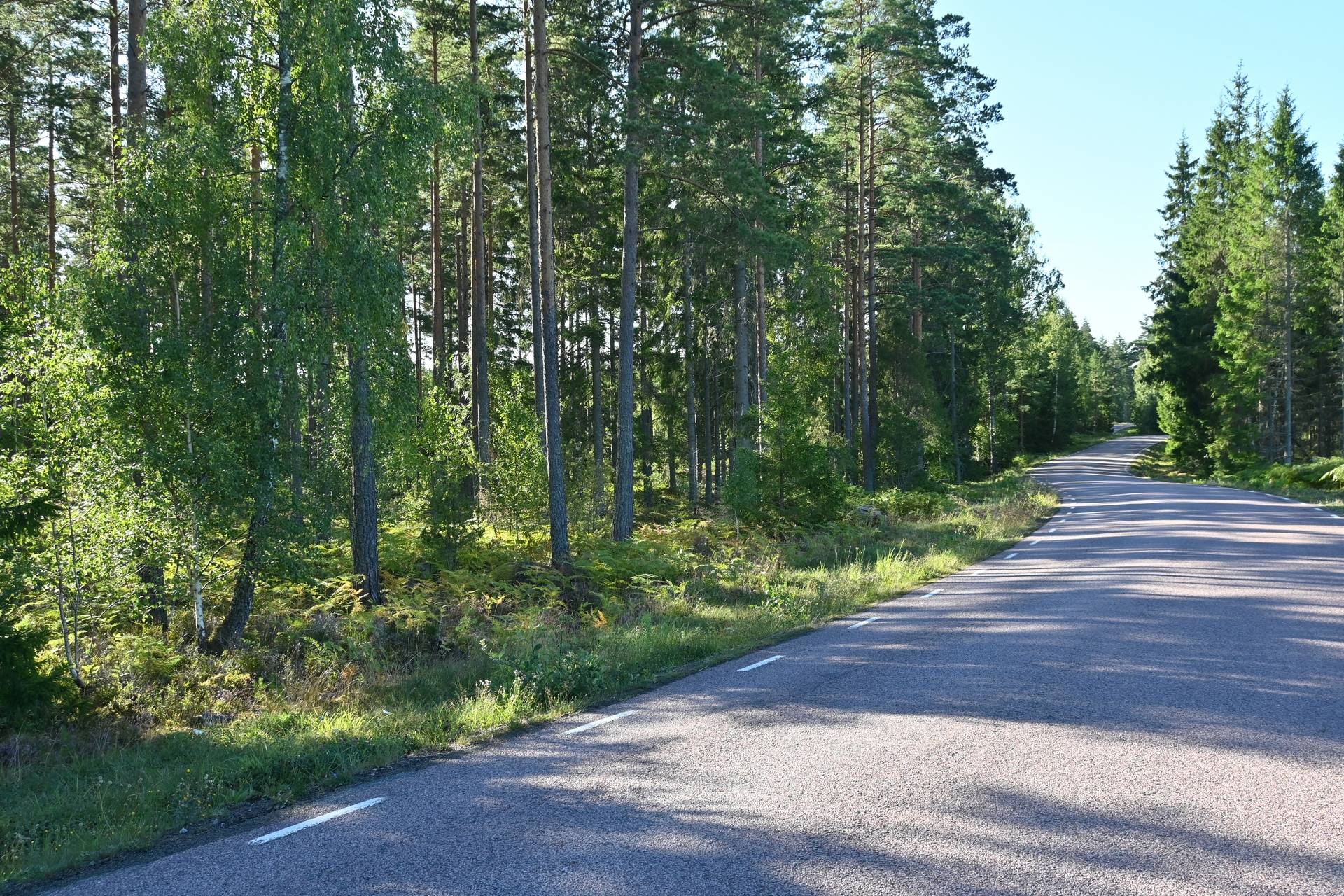 Gård/skog på Skogsfastighet Emmaboda/Hermanstorp, 95 ha Emmaboda kommun - bild 7