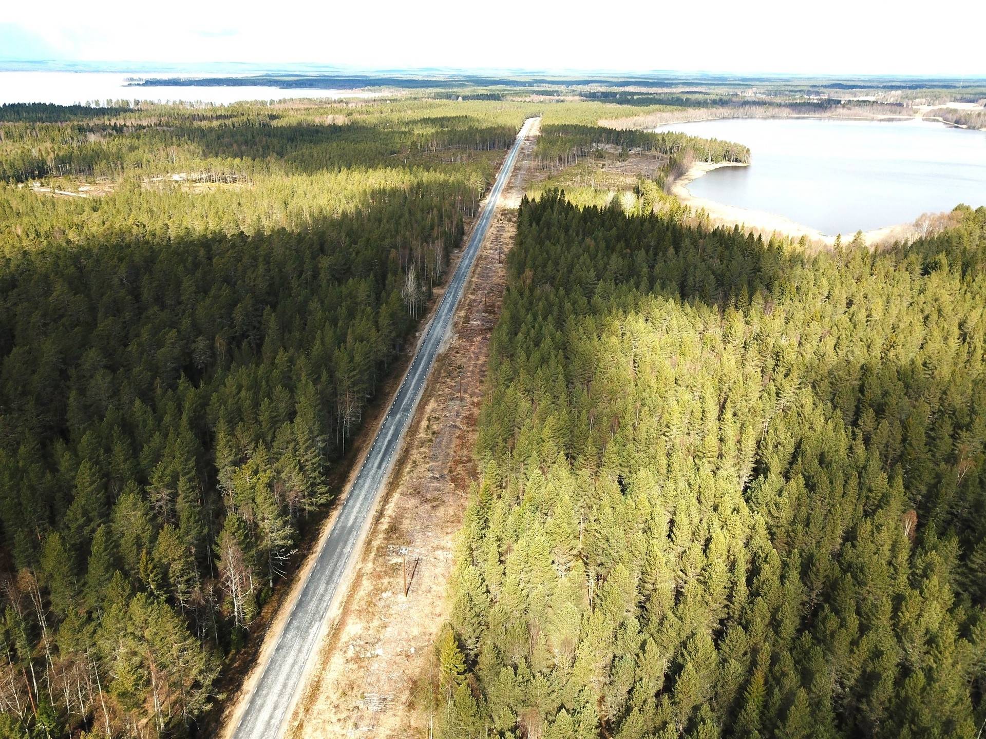 Gård/skog på Låviken 10 Nordmalings kommun - bild 2