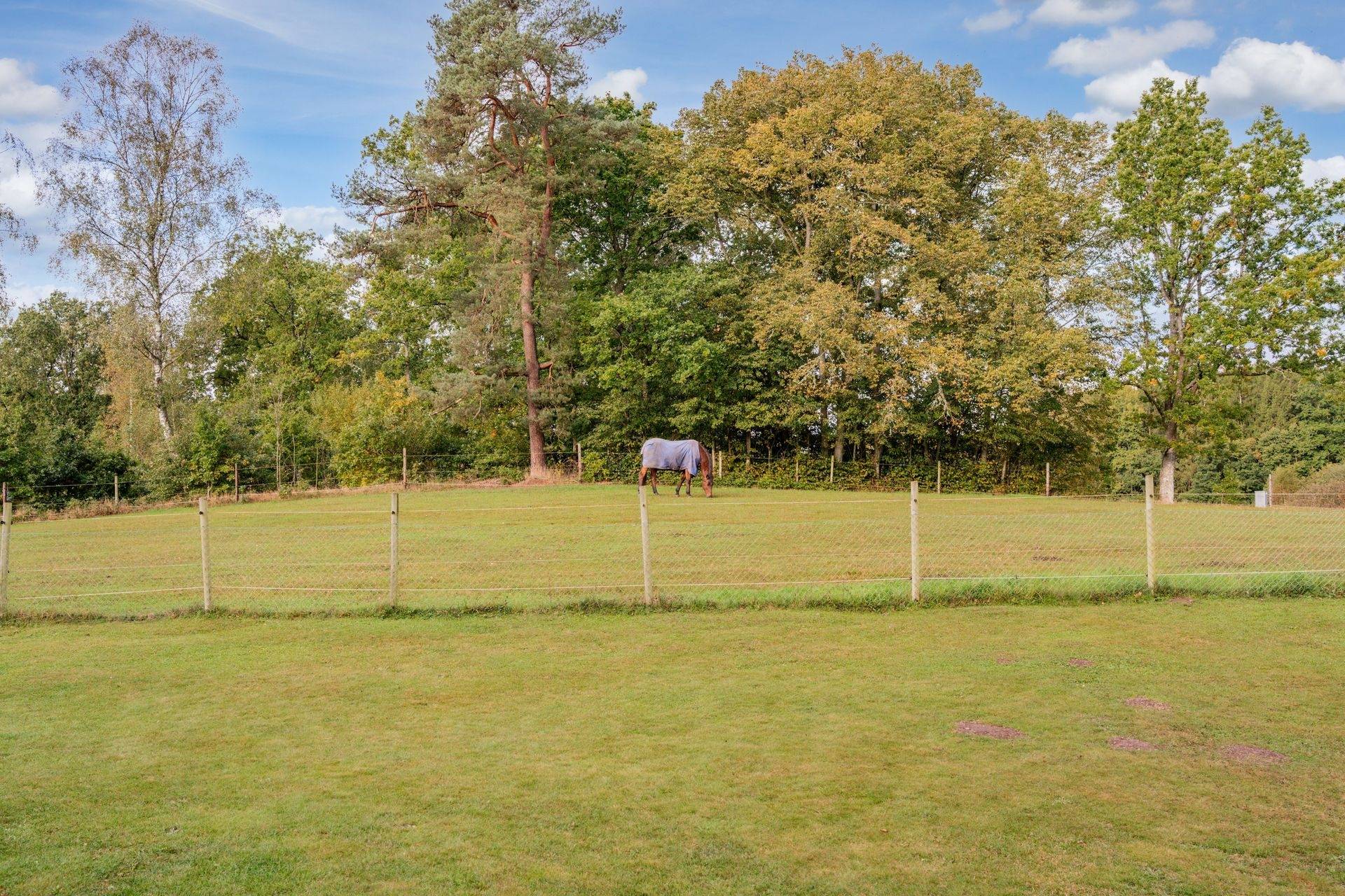 Gård utan jordbruk på Östra Nyrup 123 Hallaröd Höörs kommun - bild 49