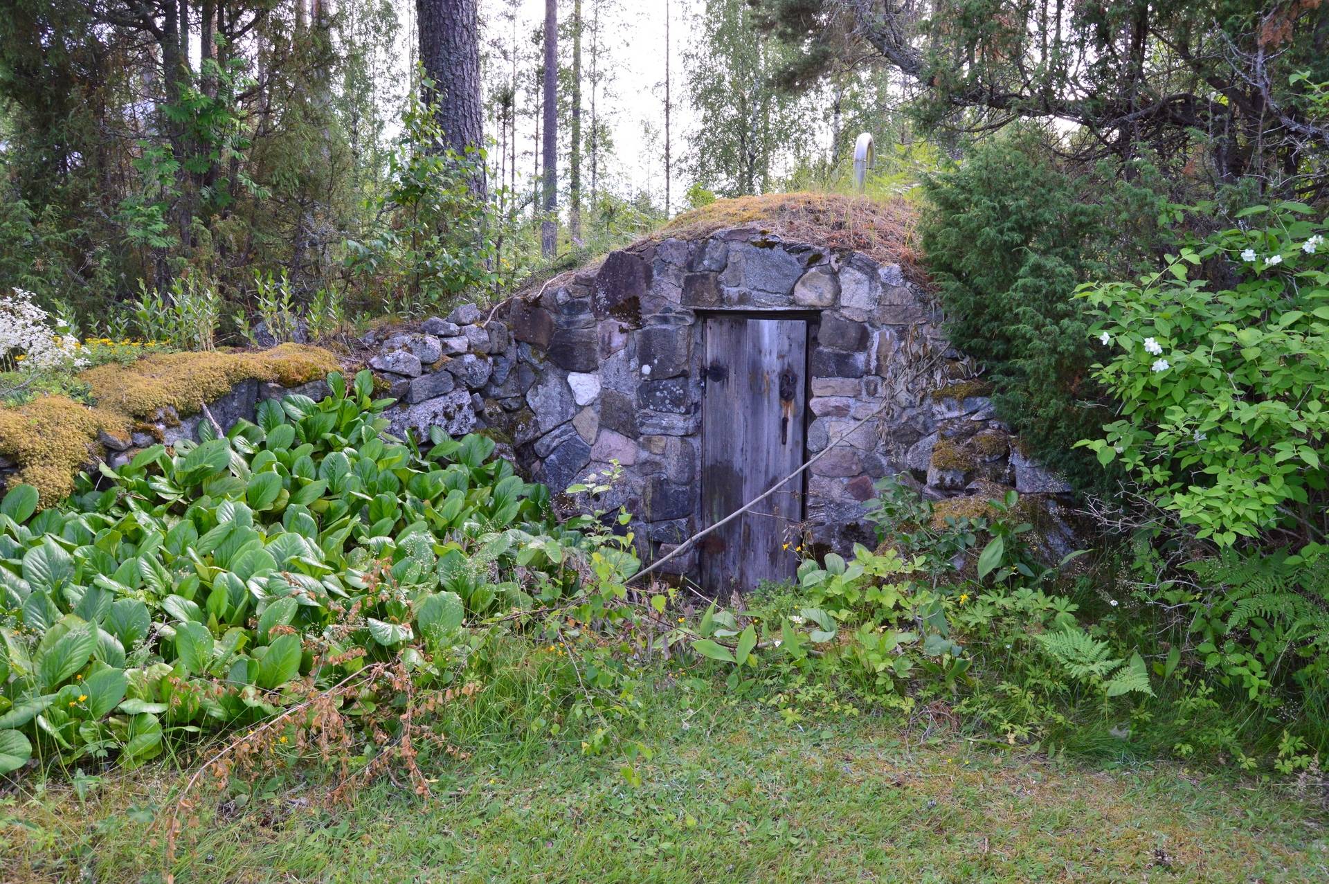 Gård med jordbruk på Sömskars skogen Sandvikens kommun - bild 14