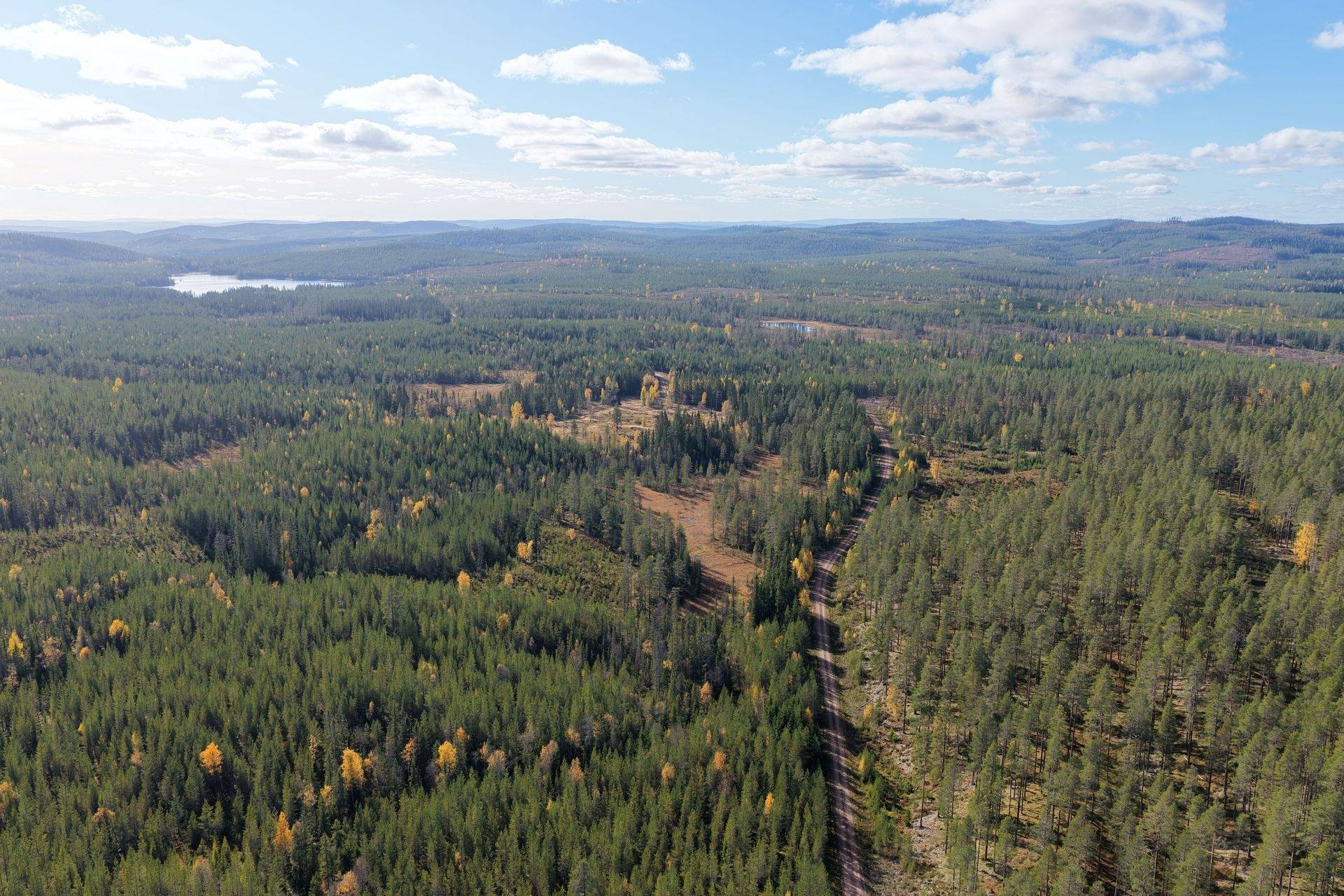 Gård/skog på Limbäck 103:2 Mora kommun - bild 22