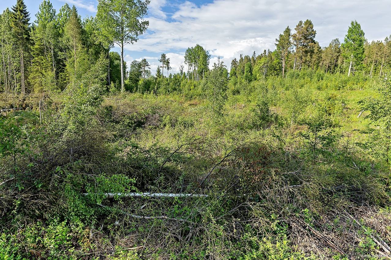 tomt på Sunne-Gärde 2:52 Orrviken, Östersunds kommun - bild 3