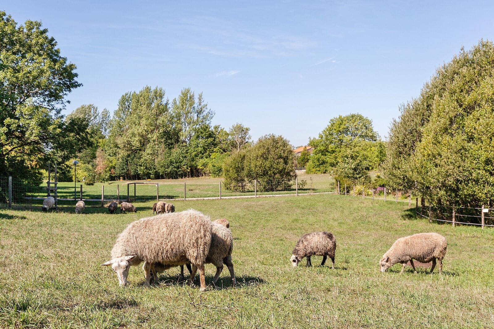4 rum Lägenhet på Skarpskyttevägen 30A Norra Fäladen Lunds kommun - bild 28