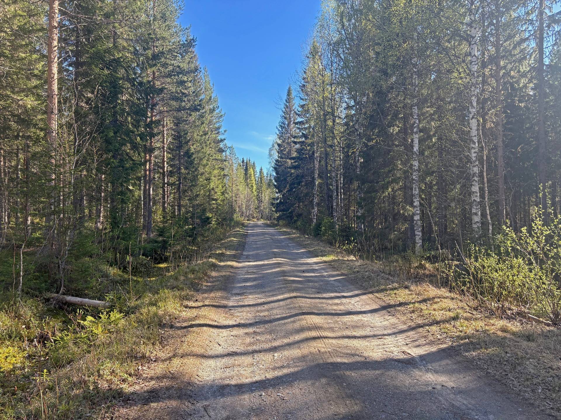 Gård/skog på Svettåker Vännäs kommun - bild 2
