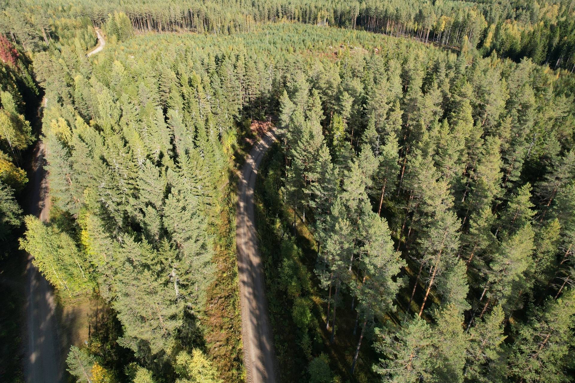 Gård med jordbruk på Sömskars skogen Sandvikens kommun - bild 25