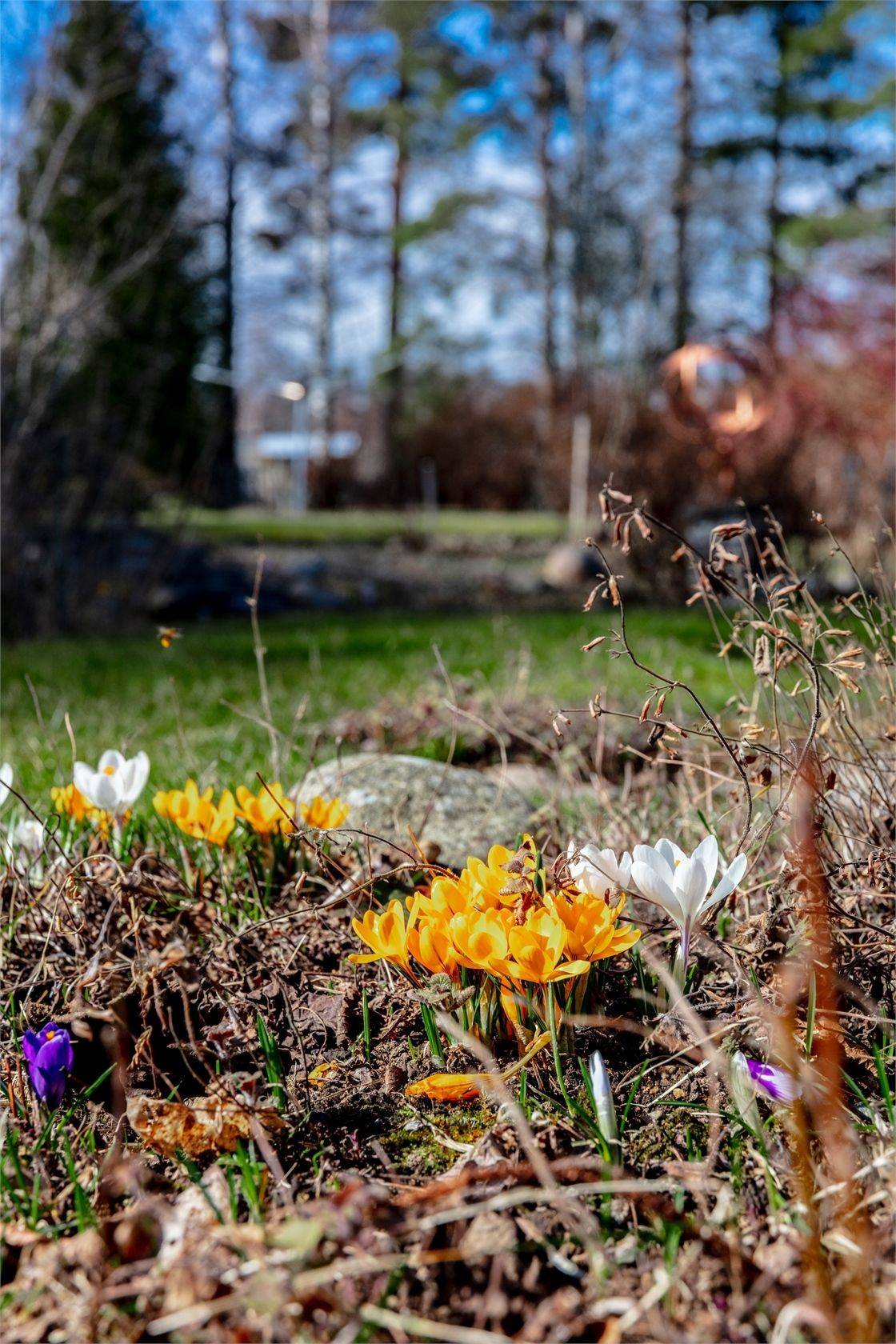 4 rum Villa på Fasanvägen 22 Rottne Växjö kommun - bild 11