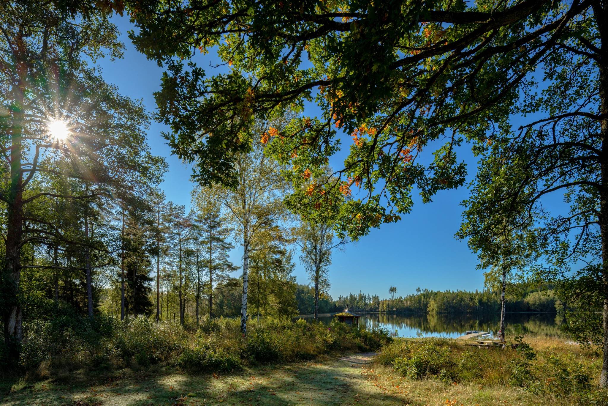 Gård/skog på Åshuvud Björsbo 1 Gnosjö Gnosjö kommun - bild 26